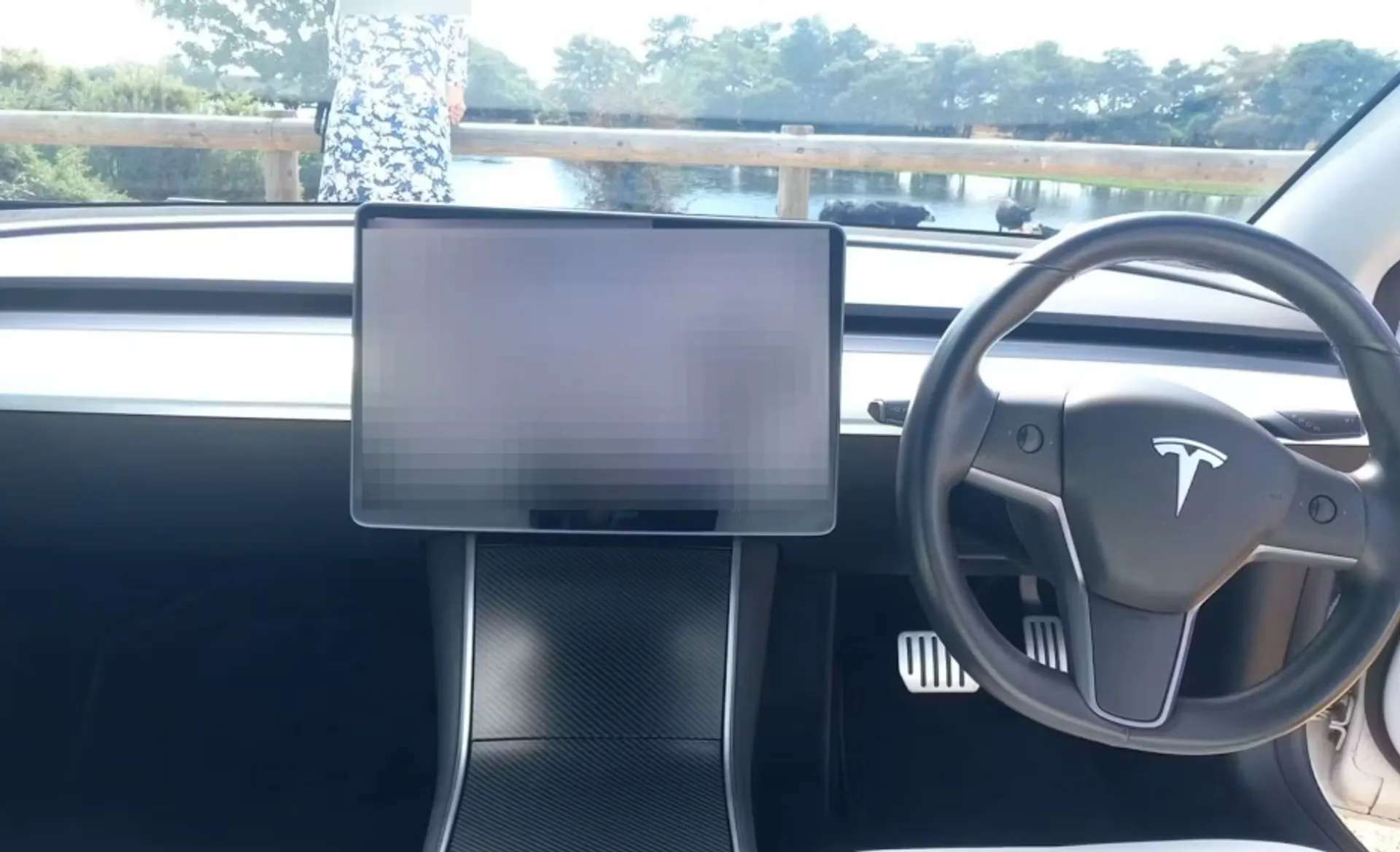 2019 TESLA MODEL 3 2019 TESLA MODEL 3
