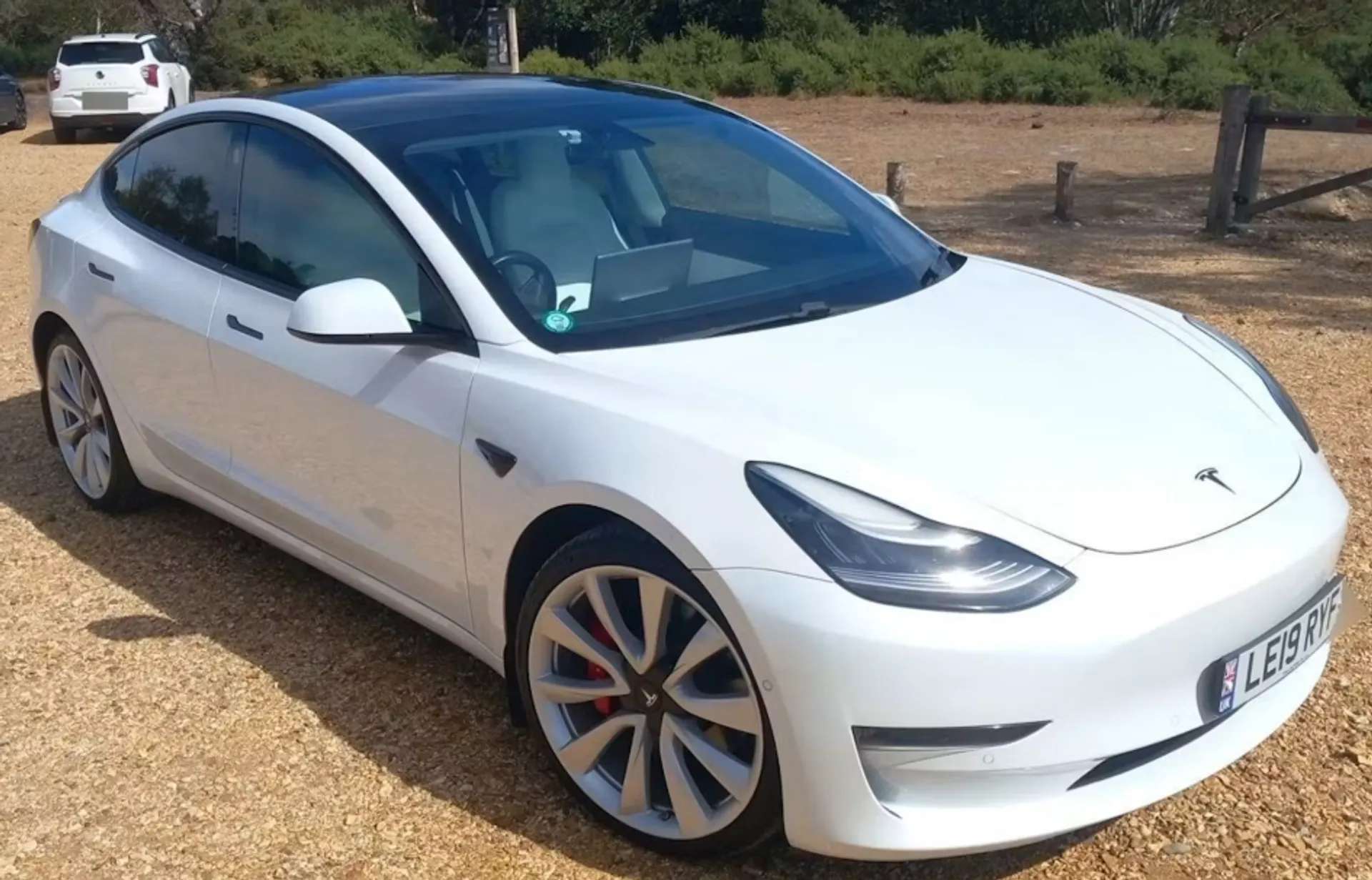 2019 TESLA MODEL 3 2019 TESLA MODEL 3