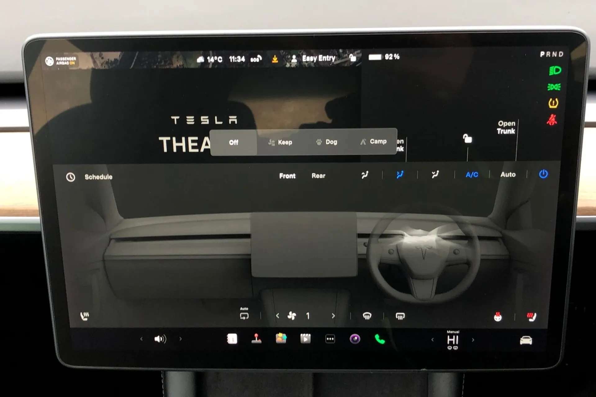 2021 TESLA MODEL 3 2021 TESLA MODEL 3