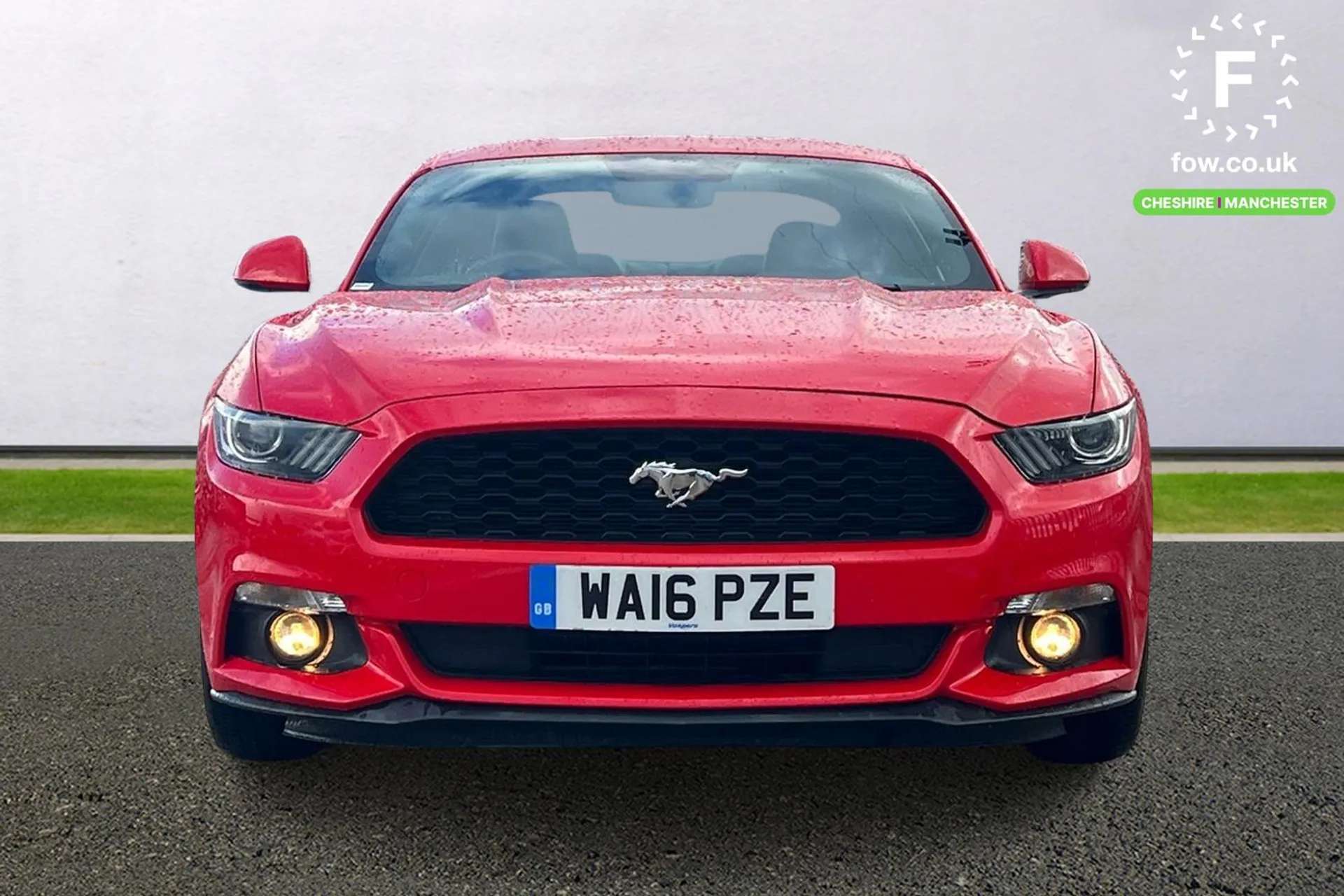 2016 FORD MUSTANG 2016 FORD MUSTANG
