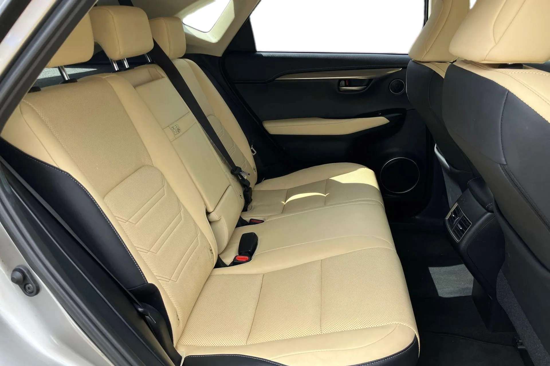 2019 LEXUS NX 2019 LEXUS NX
