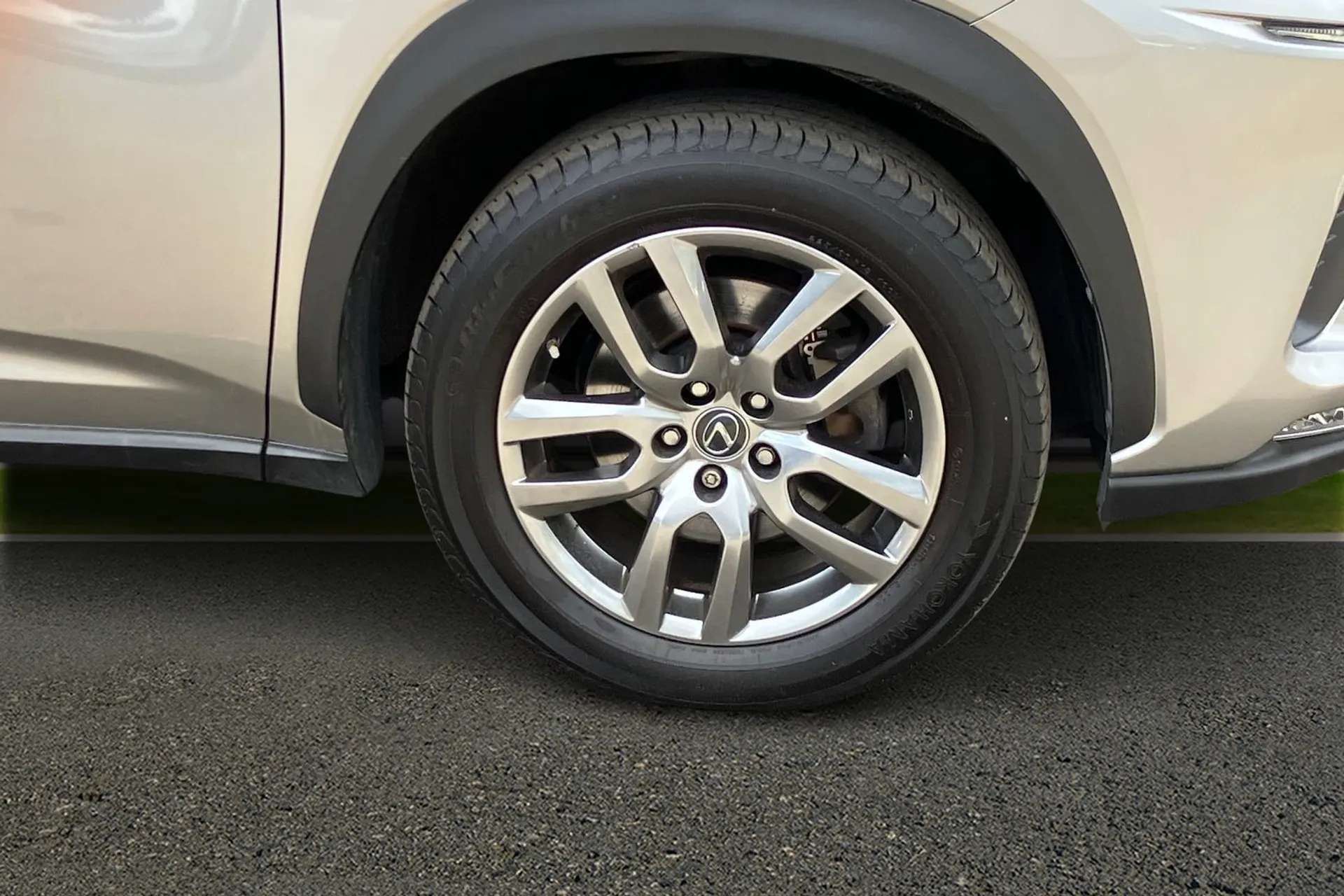2019 LEXUS NX 2019 LEXUS NX