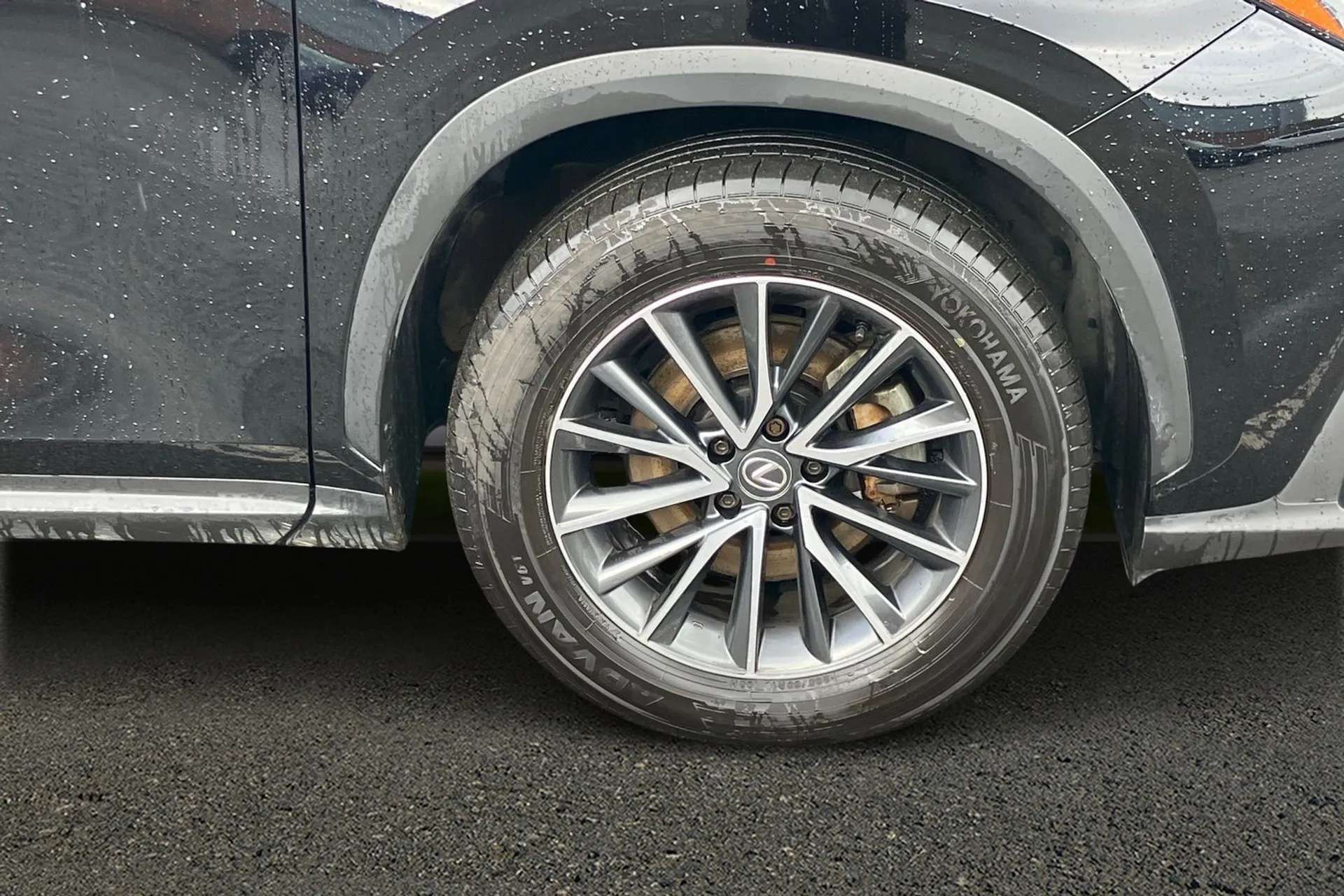 2024 LEXUS NX 2024 LEXUS NX