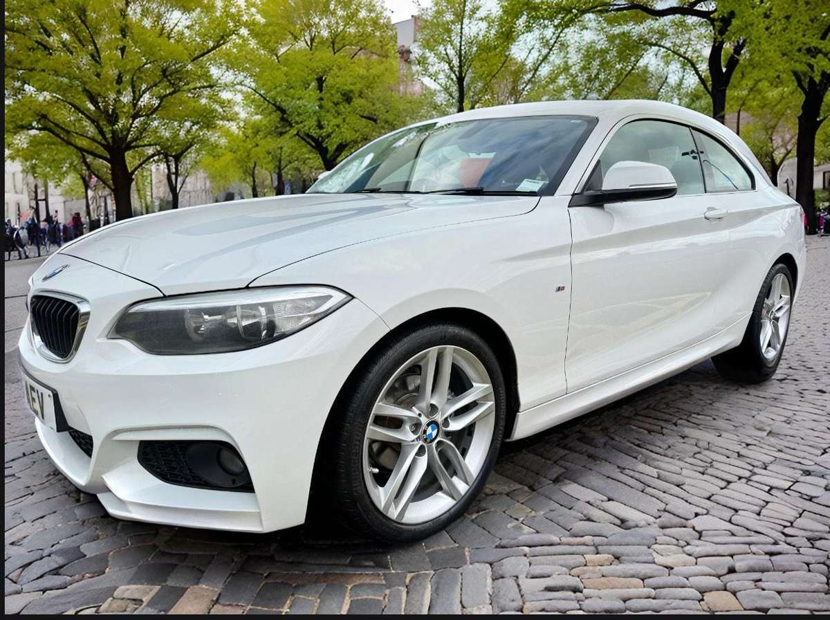 Check out this BMW 2 Series 2014 Diesel Manual