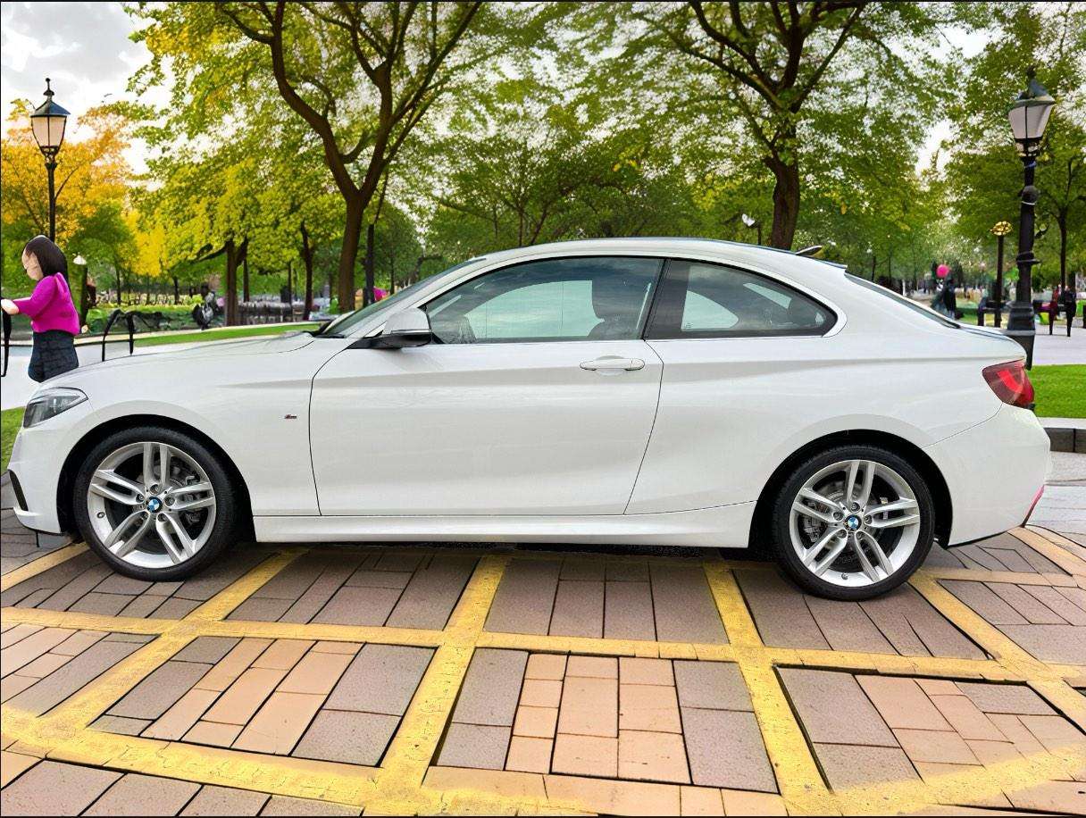 2014 BMW 2 SERIES 2014 BMW 2 SERIES