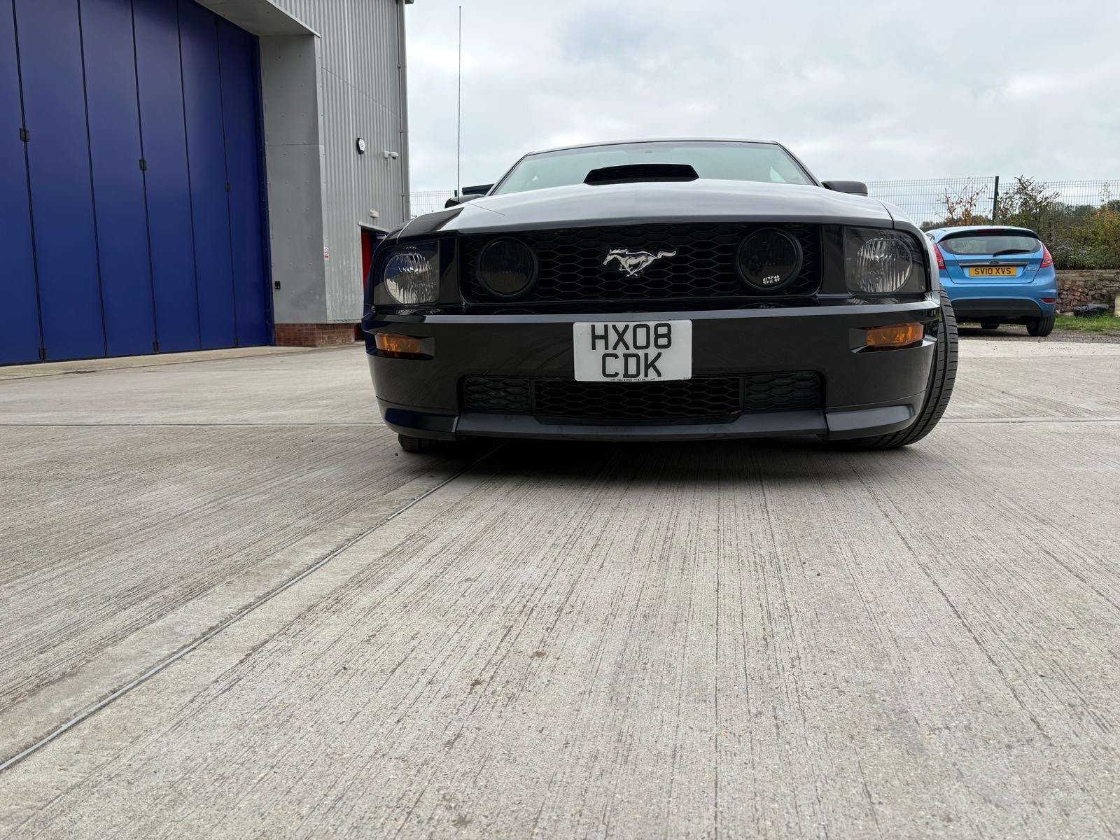 2008 FORD MUSTANG 2008 FORD MUSTANG