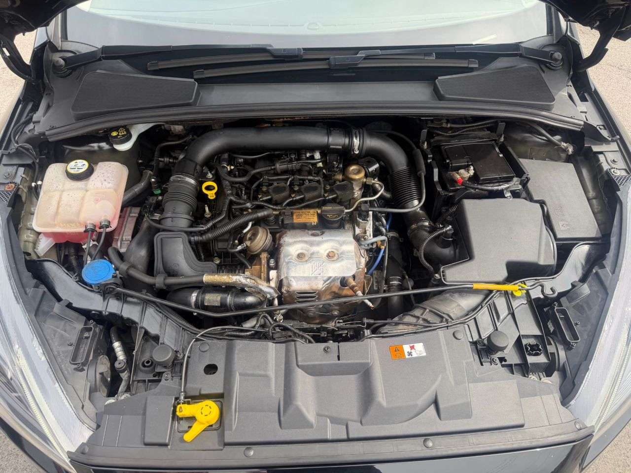 2015 FORD FOCUS 2015 FORD FOCUS