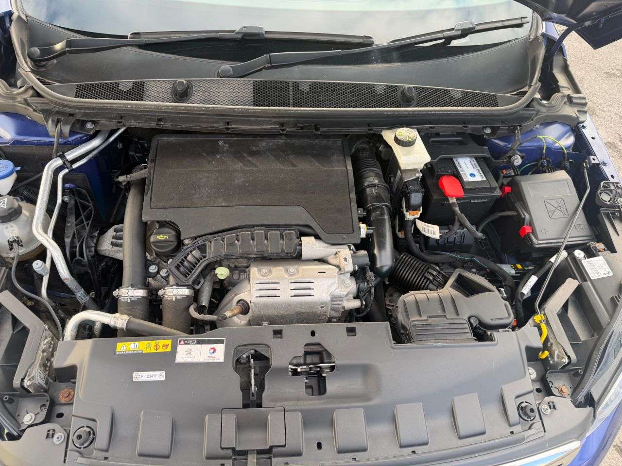 2019 PEUGEOT 308 2019 PEUGEOT 308