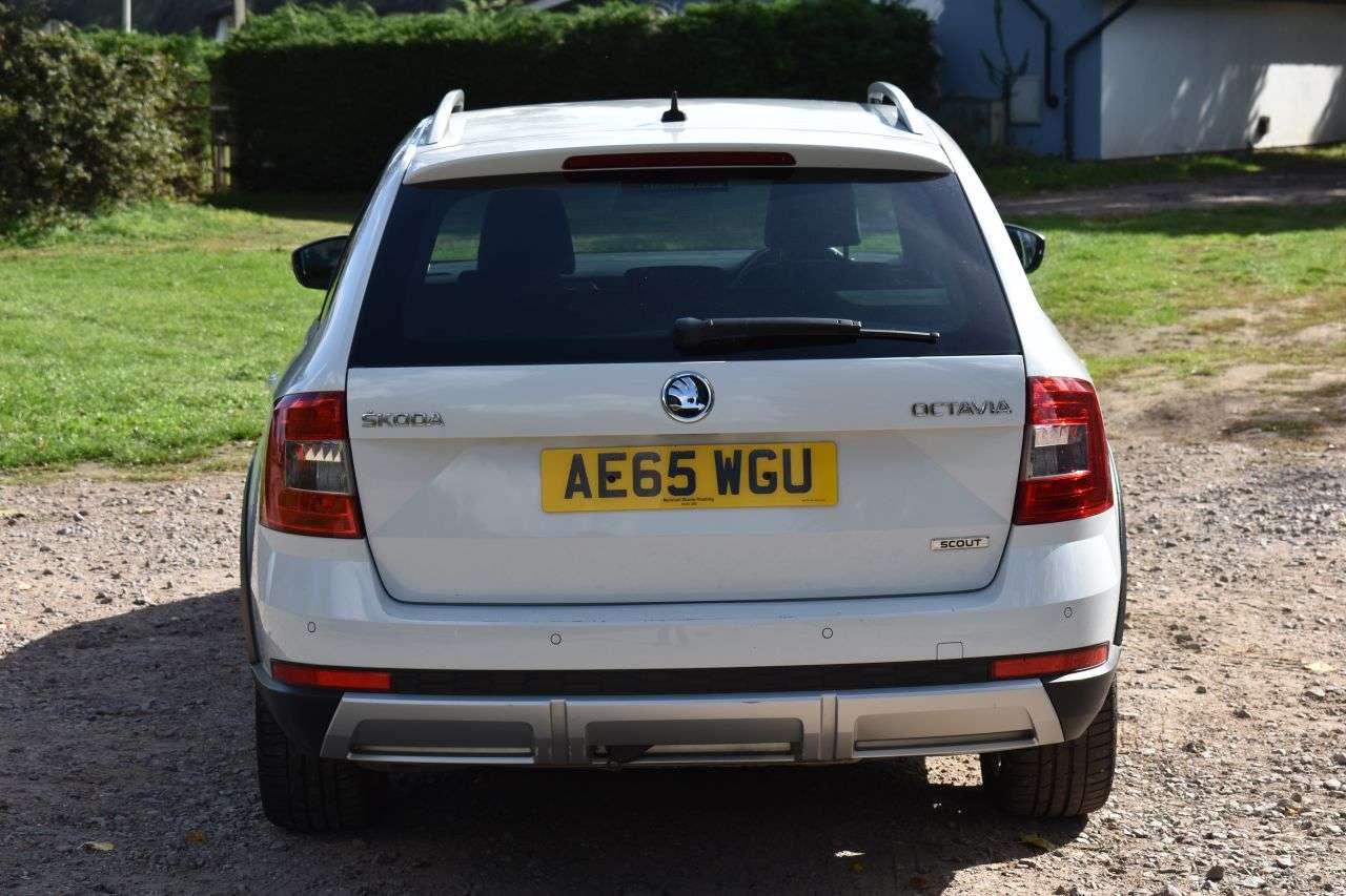 2015 SKODA OCTAVIA 2015 SKODA OCTAVIA