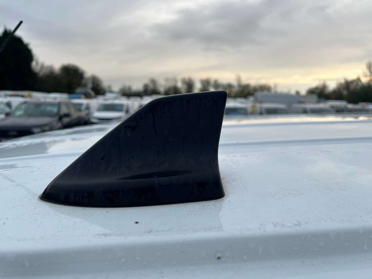 2021 FORD TRANSIT CONNECT 2021 FORD TRANSIT CONNECT