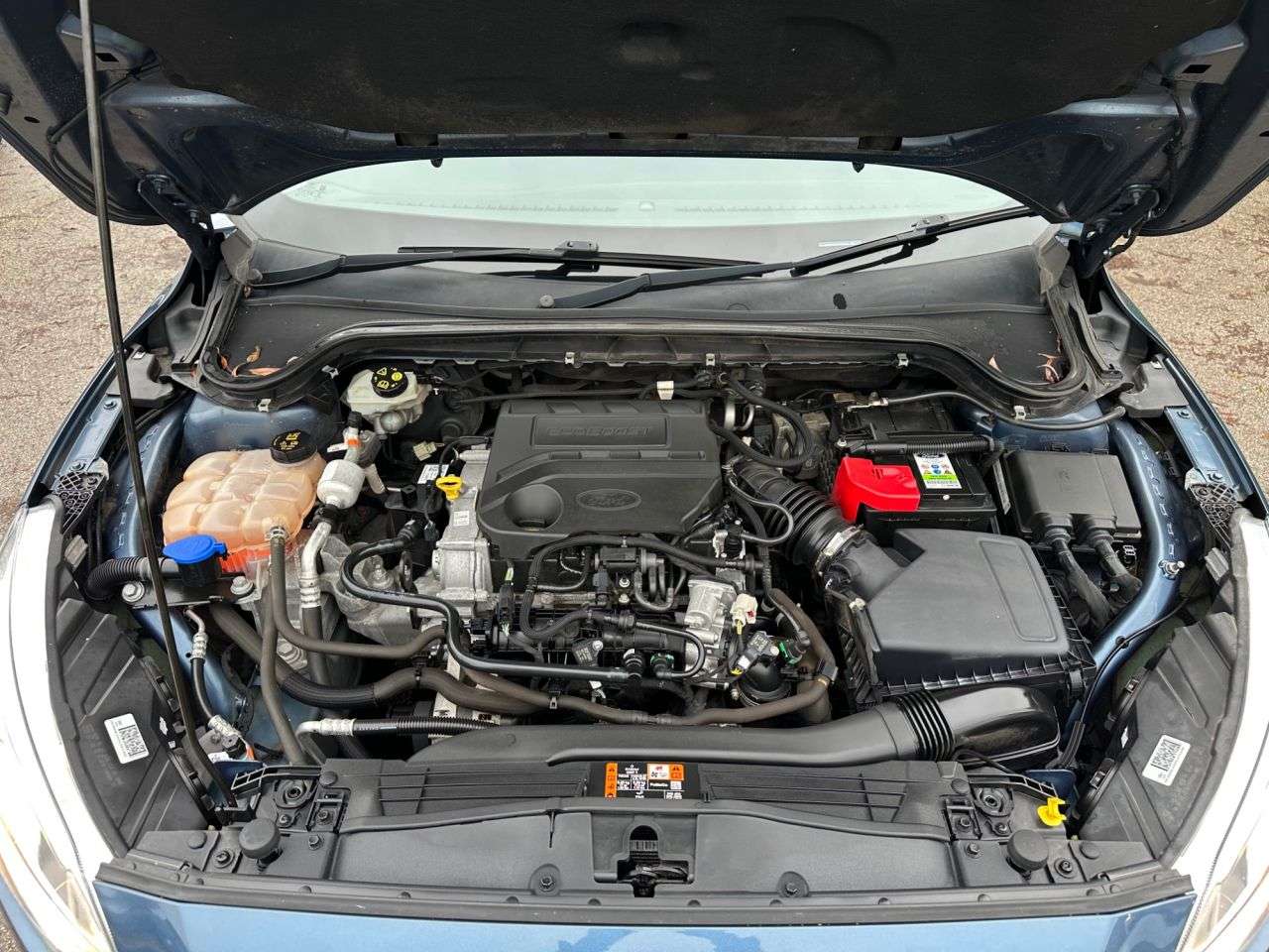 2019 FORD FOCUS 2019 FORD FOCUS