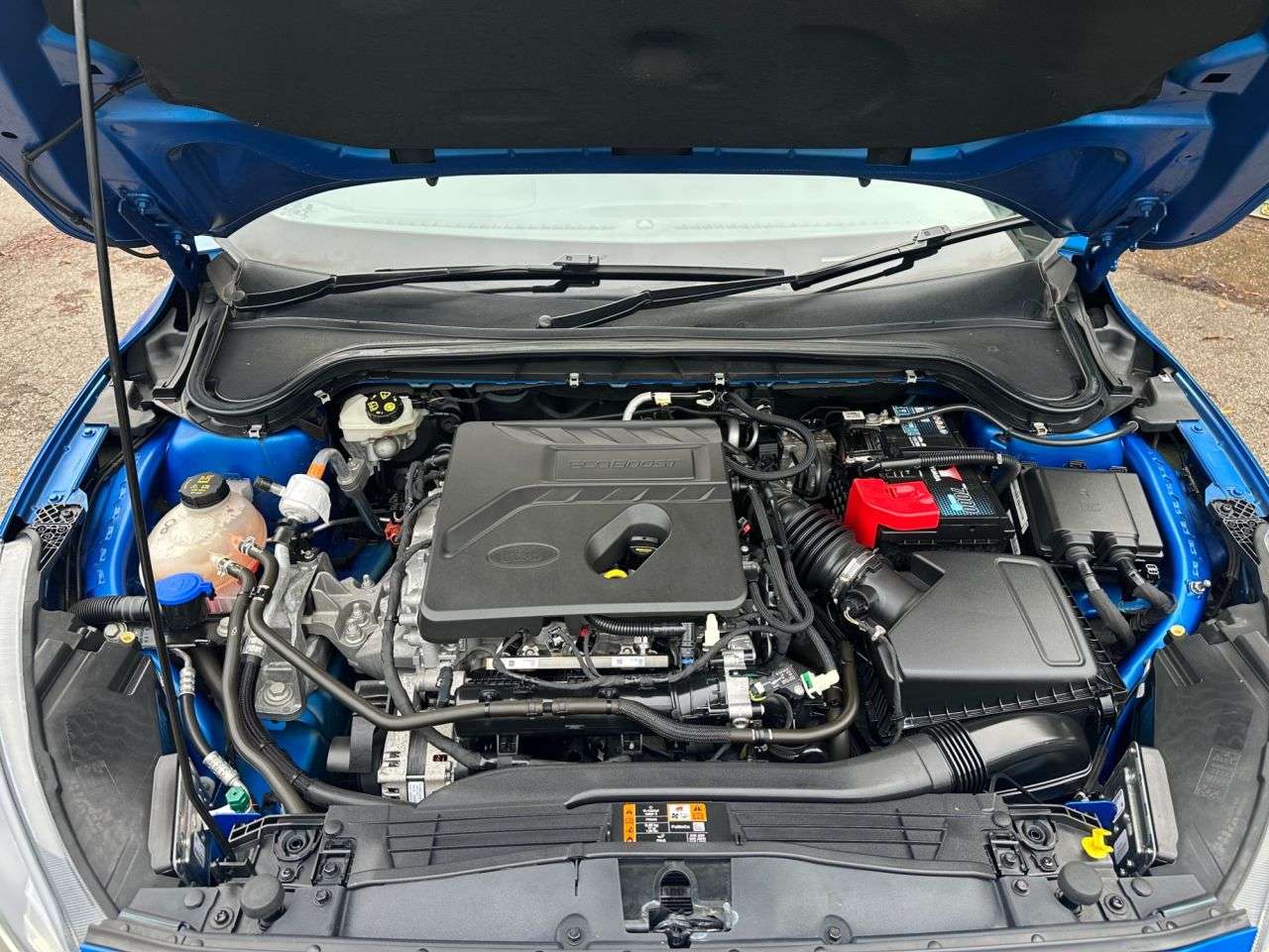 2019 FORD FOCUS 2019 FORD FOCUS