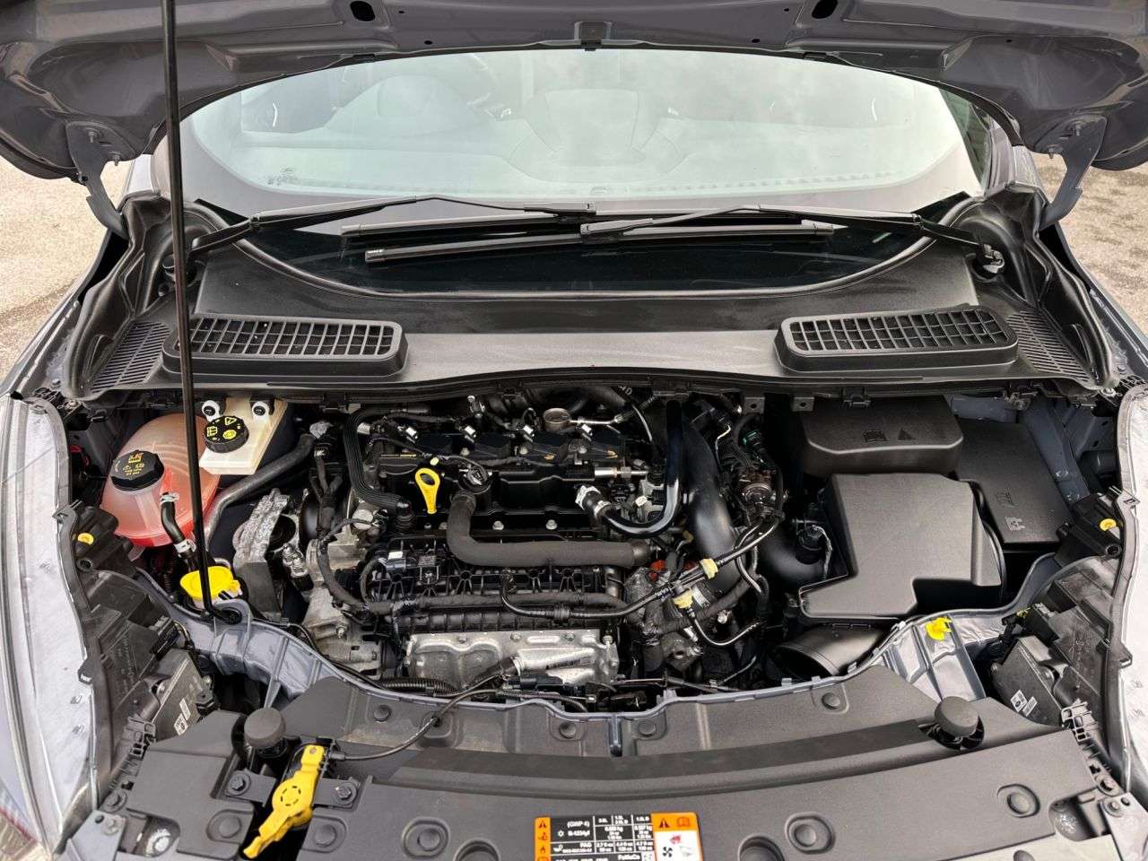 2019 FORD KUGA 2019 FORD KUGA