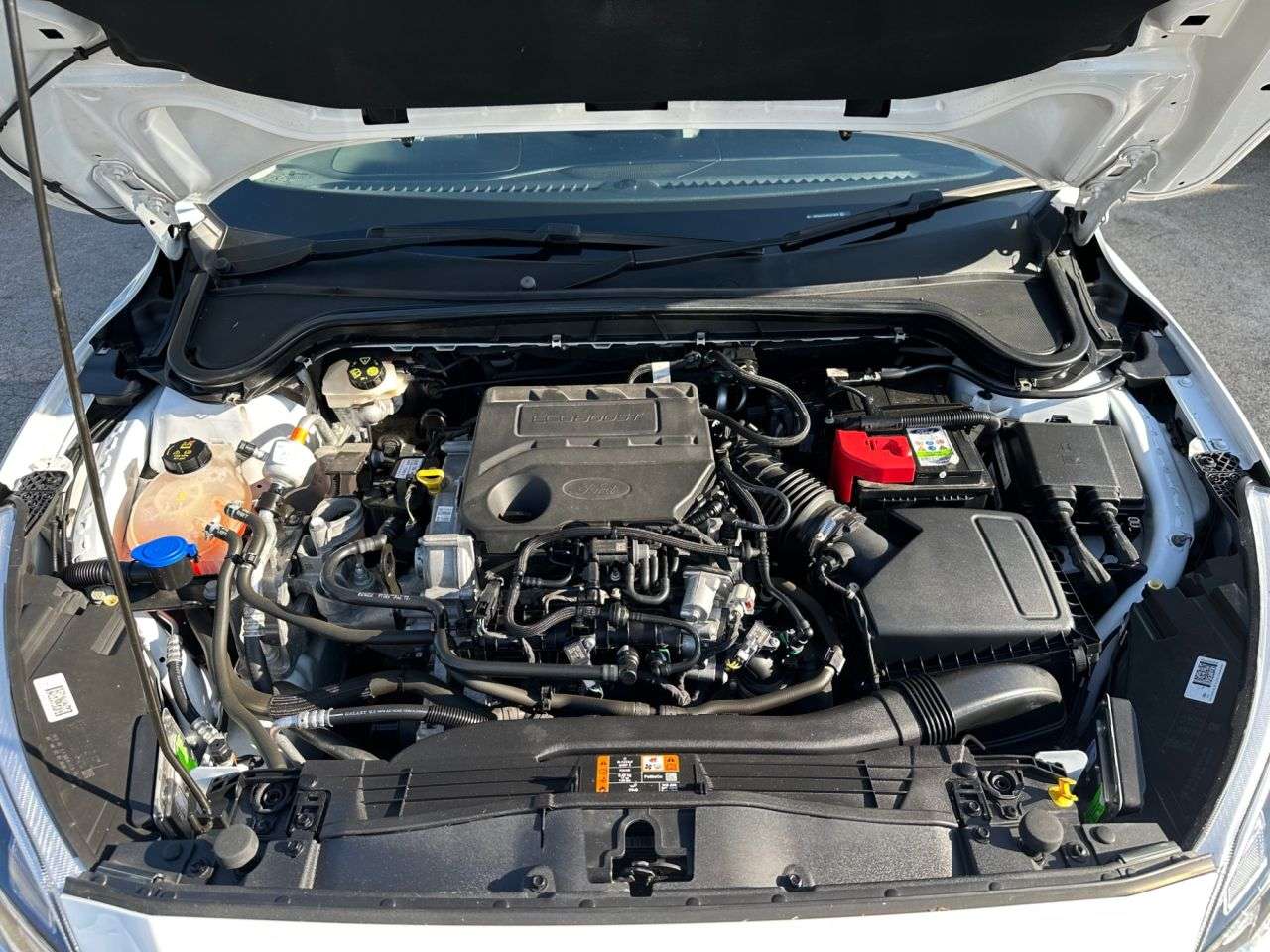 2019 FORD FOCUS 2019 FORD FOCUS