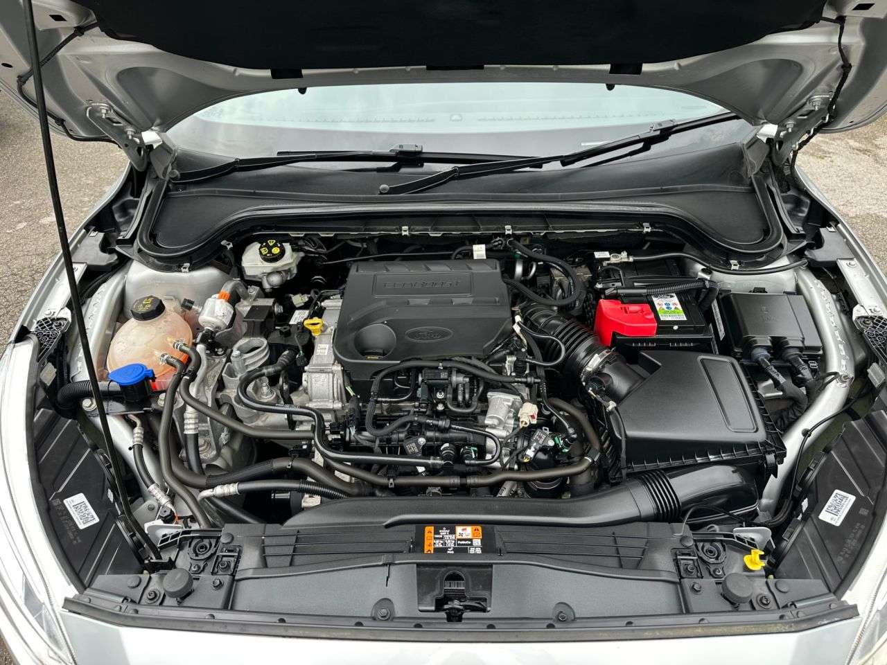 2019 FORD FOCUS 2019 FORD FOCUS