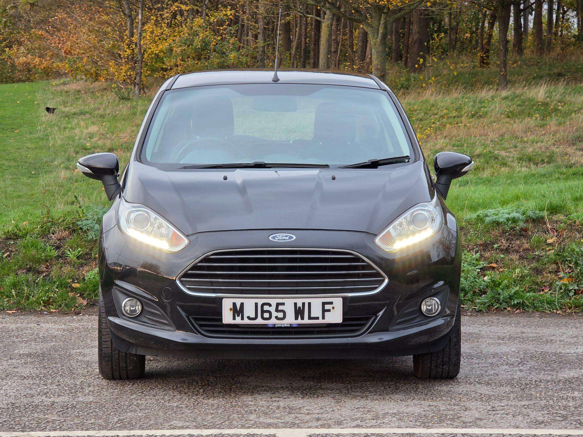 2015 FORD FIESTA 2015 FORD FIESTA