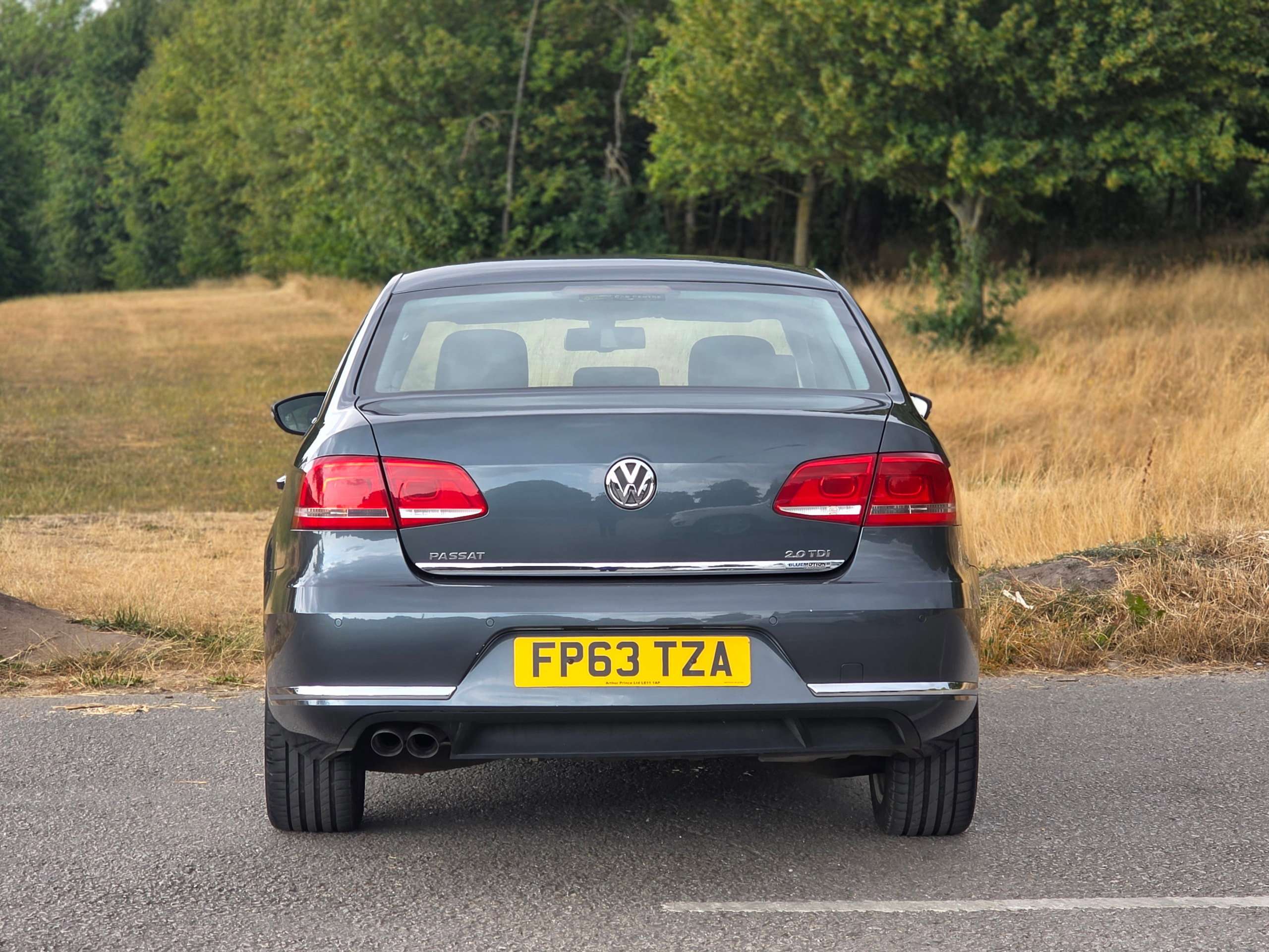 2013 VOLKSWAGEN PASSAT 2013 VOLKSWAGEN PASSAT
