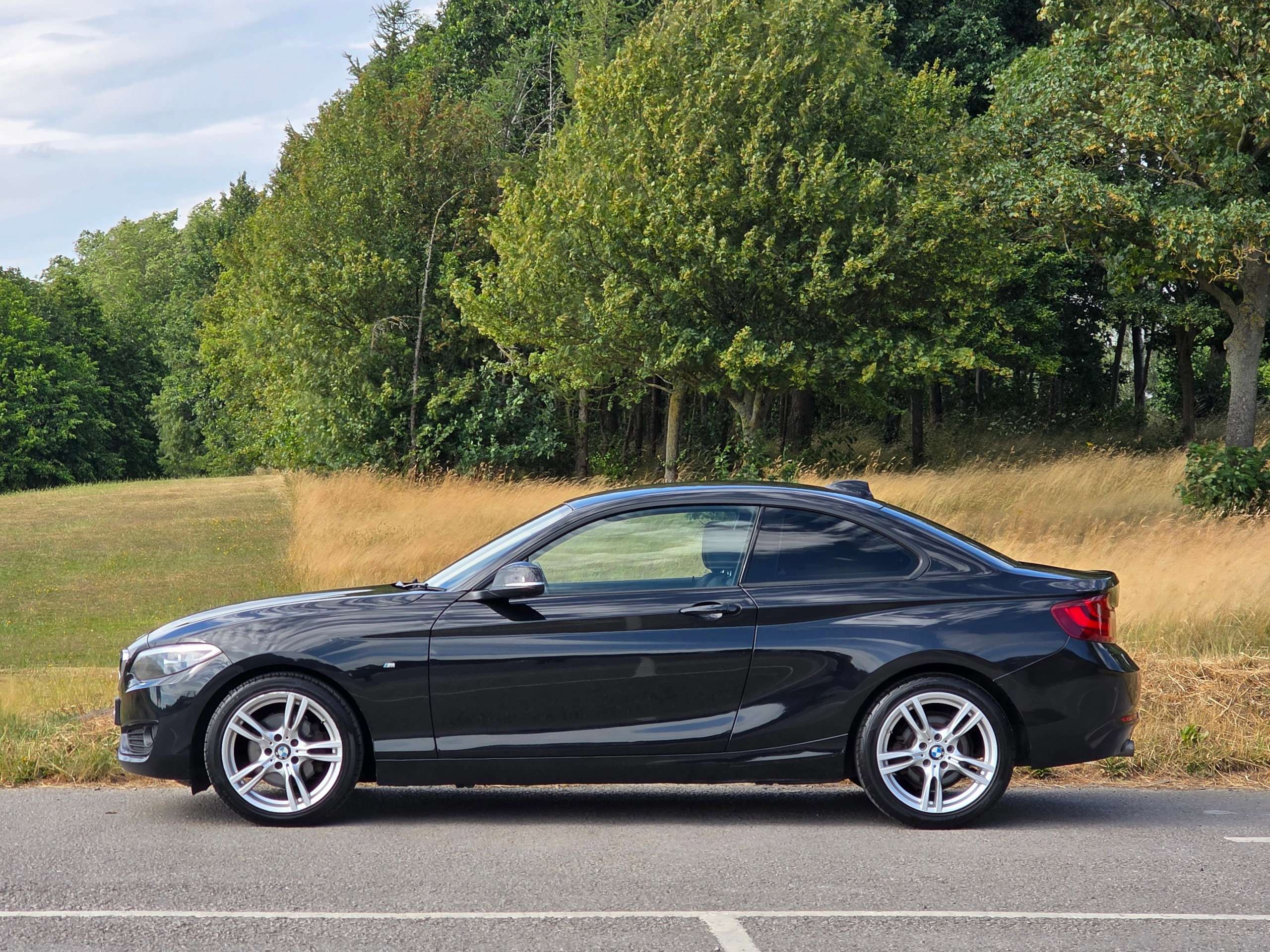A 2014 BMW 2 SERIES 2.0 220d SE Coupe 2dr Diesel Manual Euro 6 (s/s) (184 ps) A 2014 BMW 2 SERIES 2.0 220d SE Coupe 2dr Diesel Manual Euro 6 (s/s) (184 ps)
