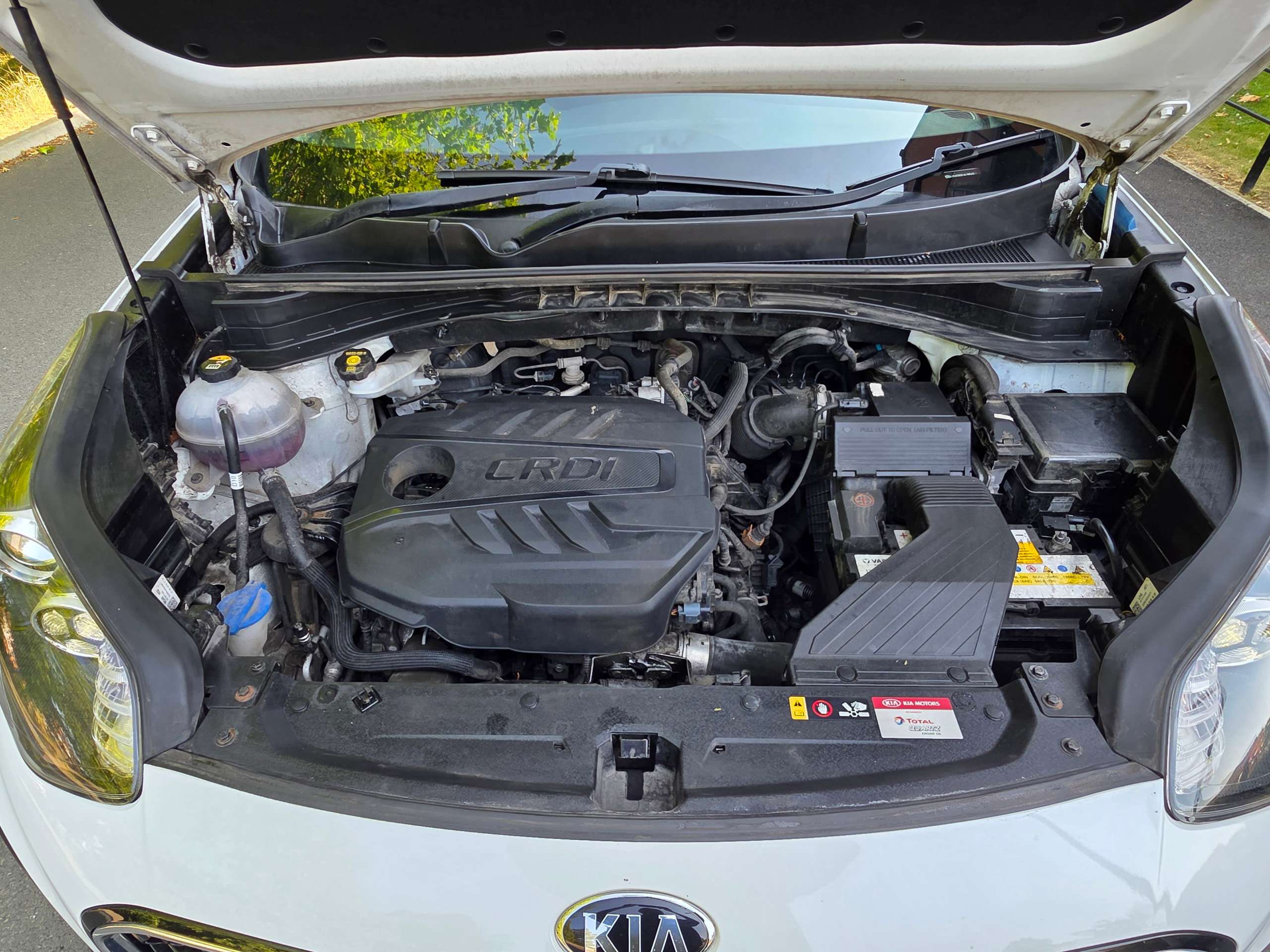 2019 KIA SPORTAGE 2019 KIA SPORTAGE
