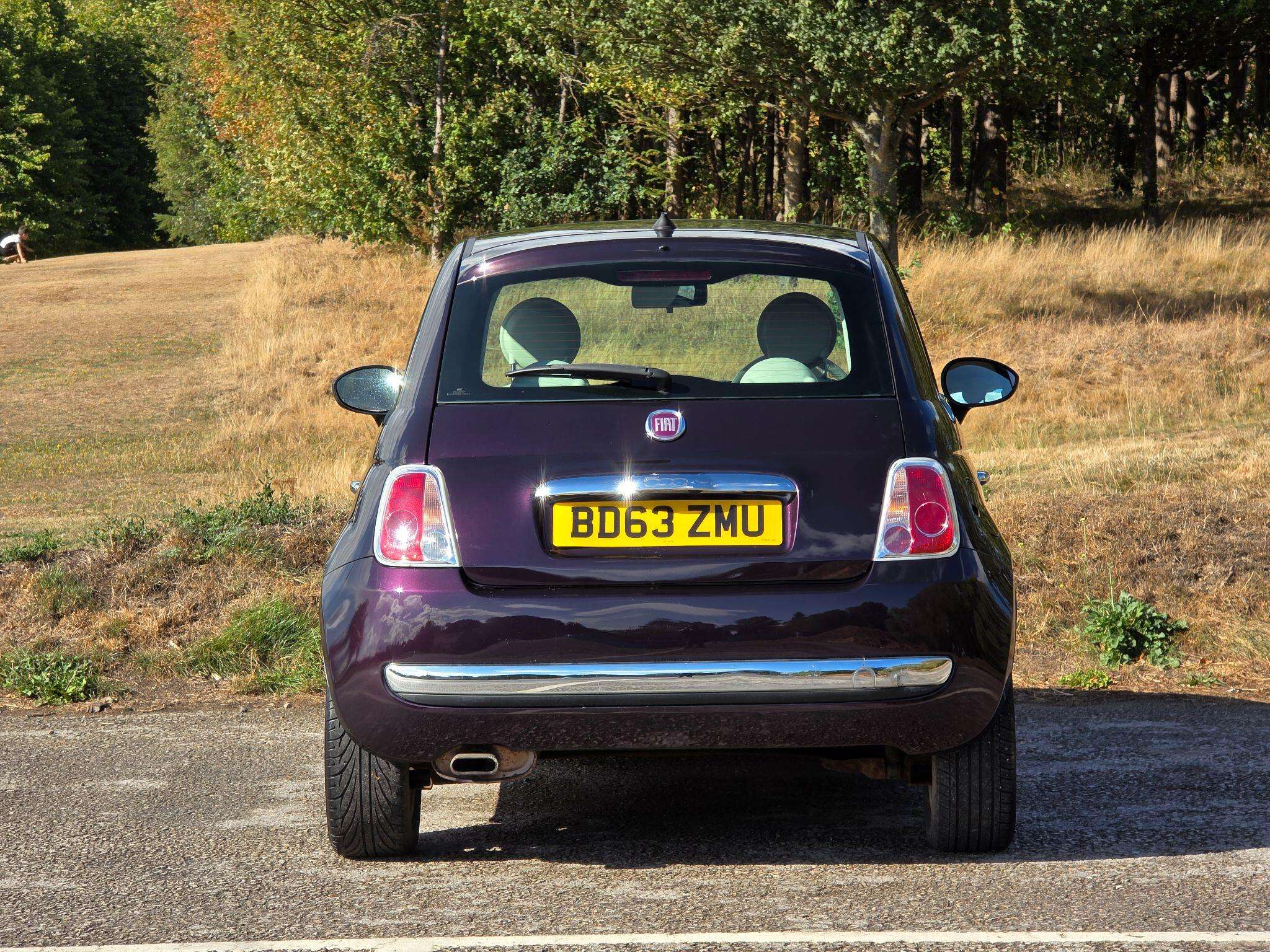 2013 FIAT 500 2013 FIAT 500
