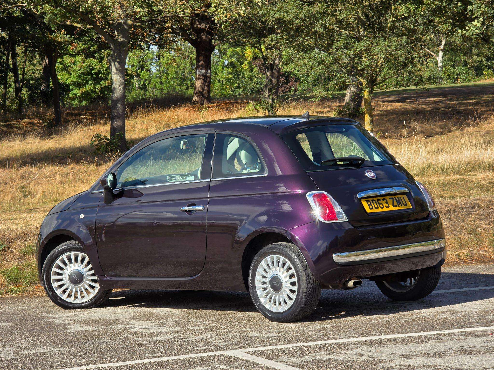 2013 FIAT 500 2013 FIAT 500