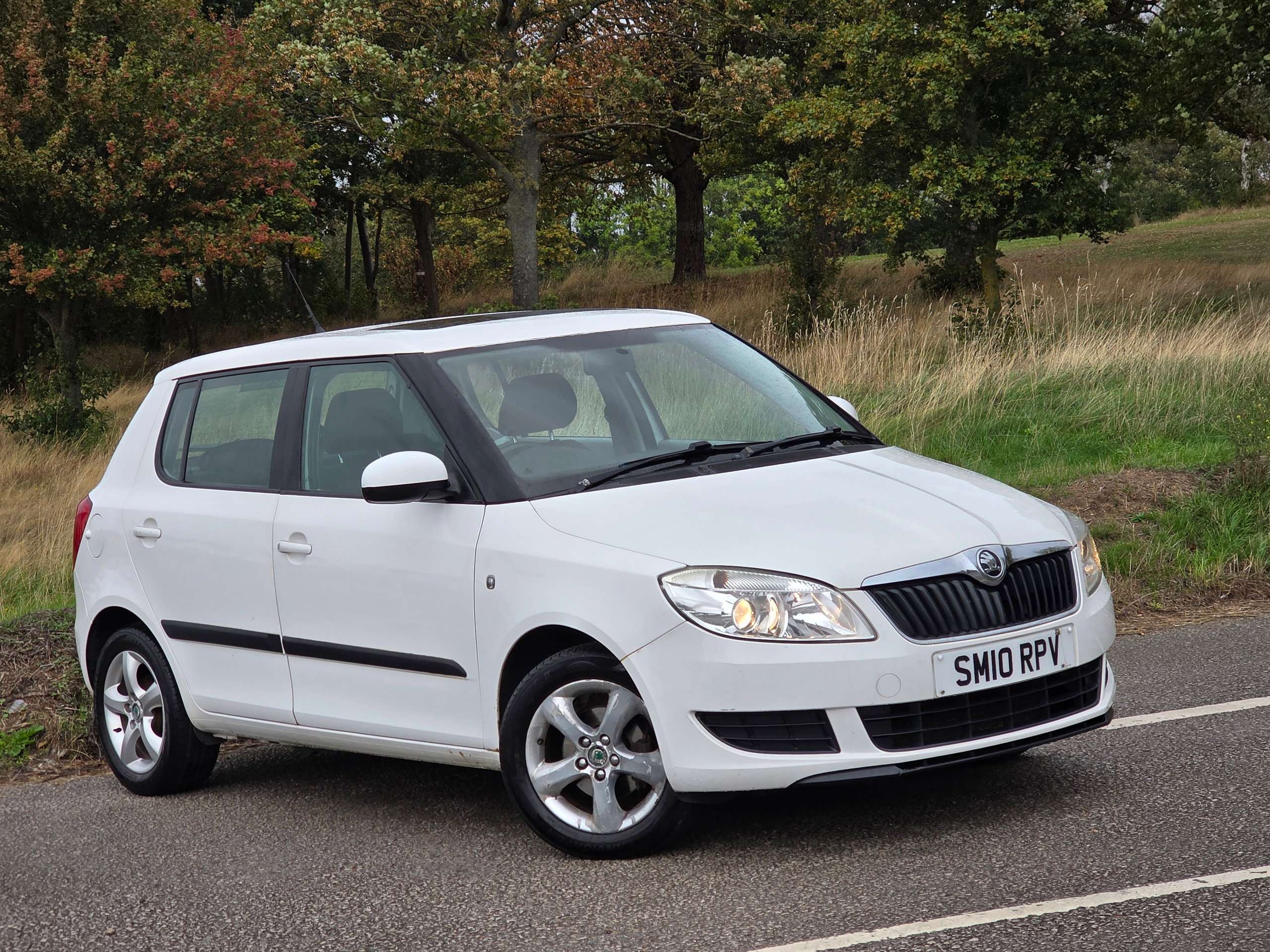 A 2010 SKODA FABIA 1.6 TDI SE Hatchback 5dr Diesel Manual Euro 5 (75 ps) A 2010 SKODA FABIA 1.6 TDI SE Hatchback 5dr Diesel Manual Euro 5 (75 ps)