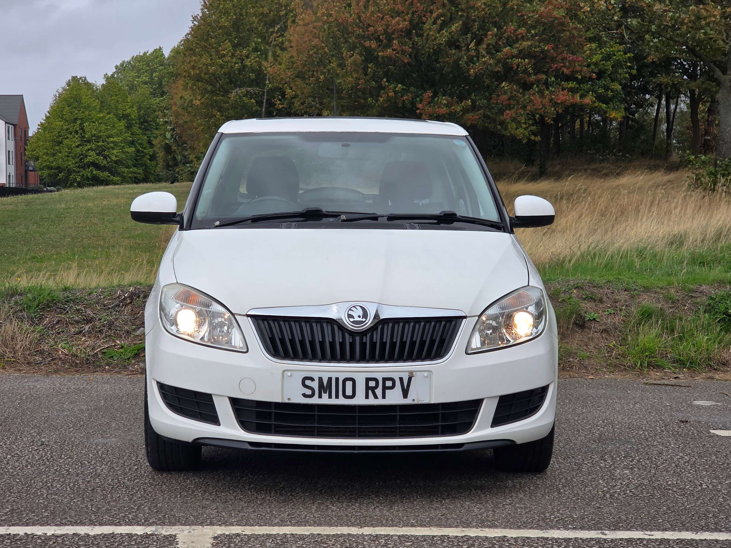 A 2010 SKODA FABIA 1.6 TDI SE Hatchback 5dr Diesel Manual Euro 5 (75 ps) A 2010 SKODA FABIA 1.6 TDI SE Hatchback 5dr Diesel Manual Euro 5 (75 ps)