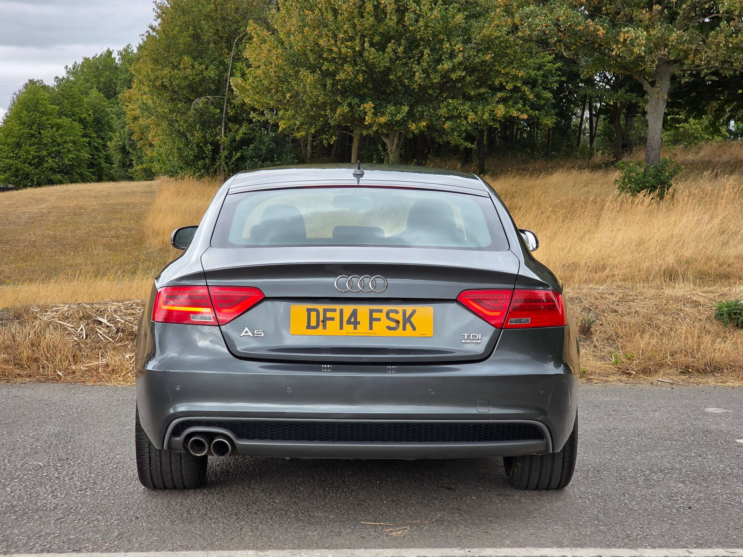 2014 AUDI A5 2014 AUDI A5