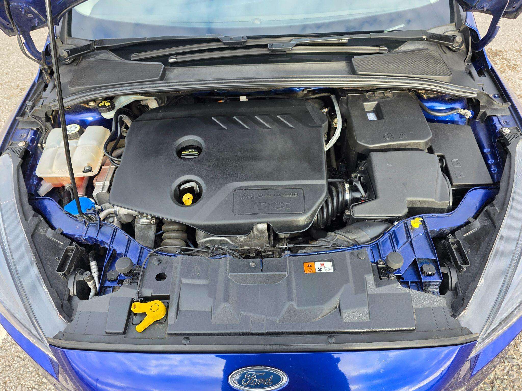 2015 FORD FOCUS 2015 FORD FOCUS