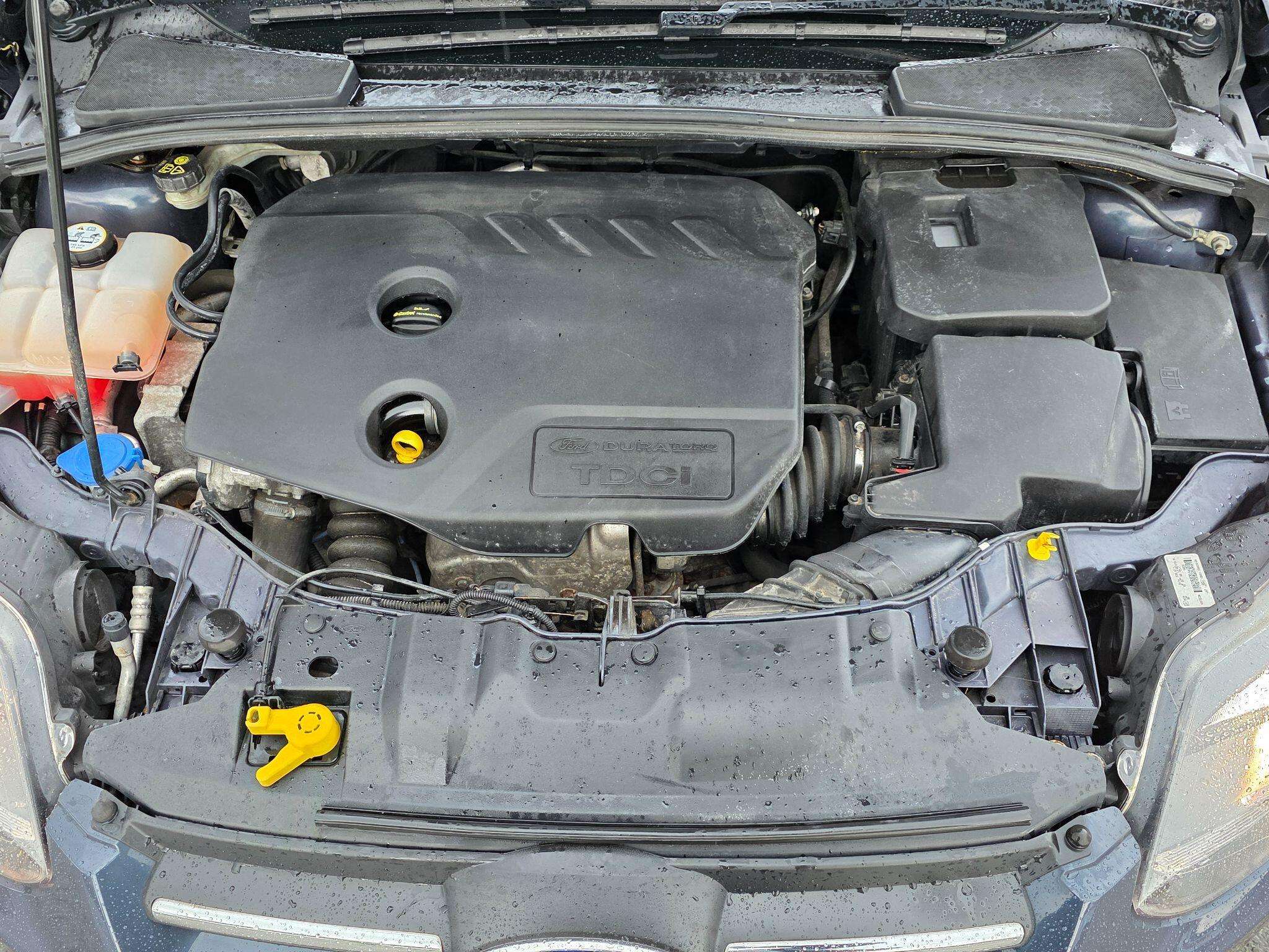 2013 FORD FOCUS 2013 FORD FOCUS