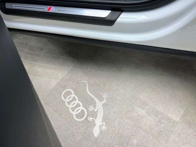 2019 AUDI Q3 2019 AUDI Q3