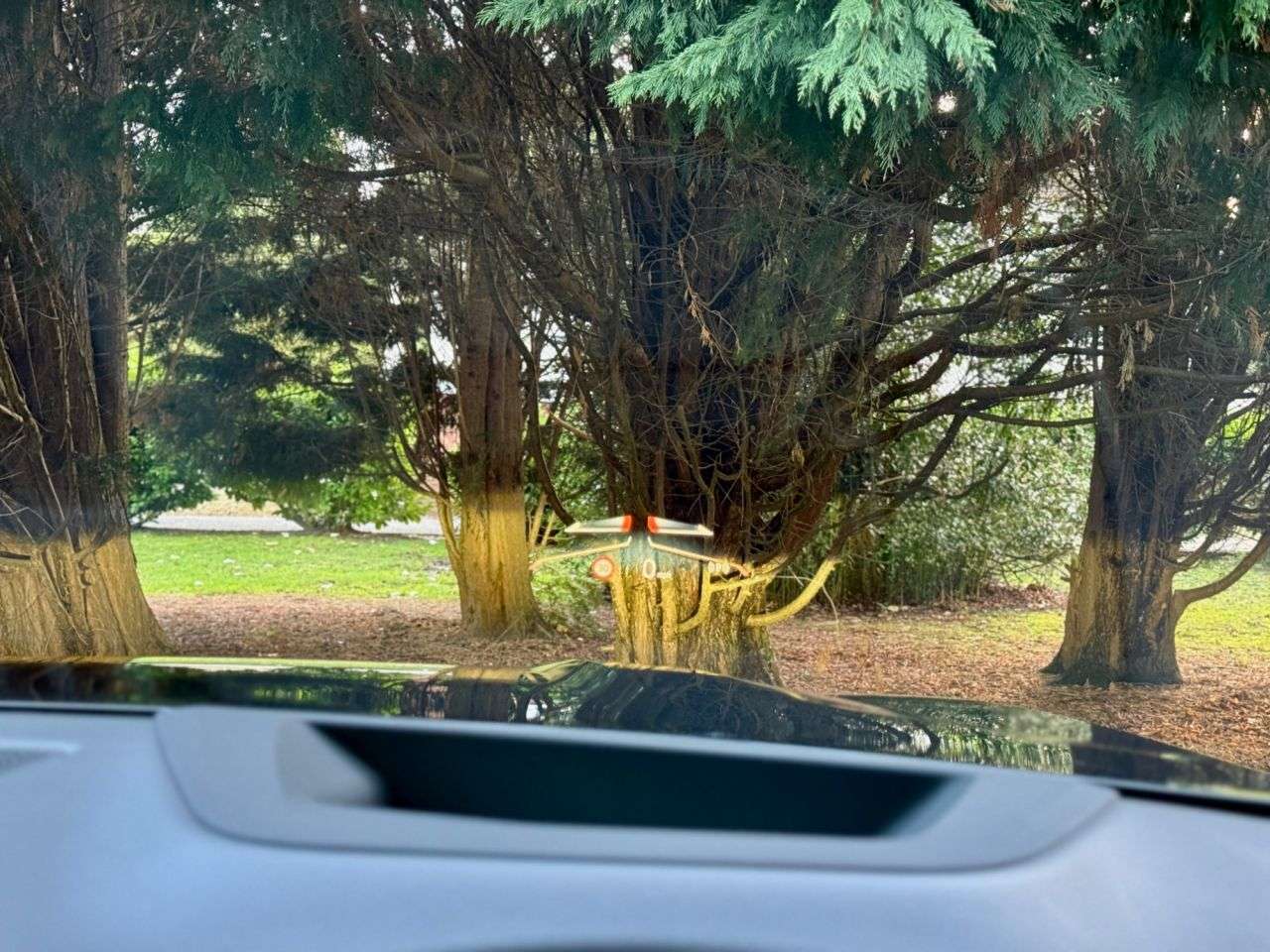 2025 BMW X7 2025 BMW X7