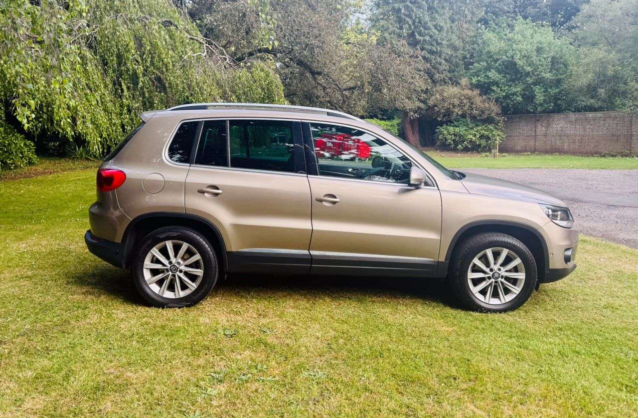 2012 VOLKSWAGEN TIGUAN 2012 VOLKSWAGEN TIGUAN