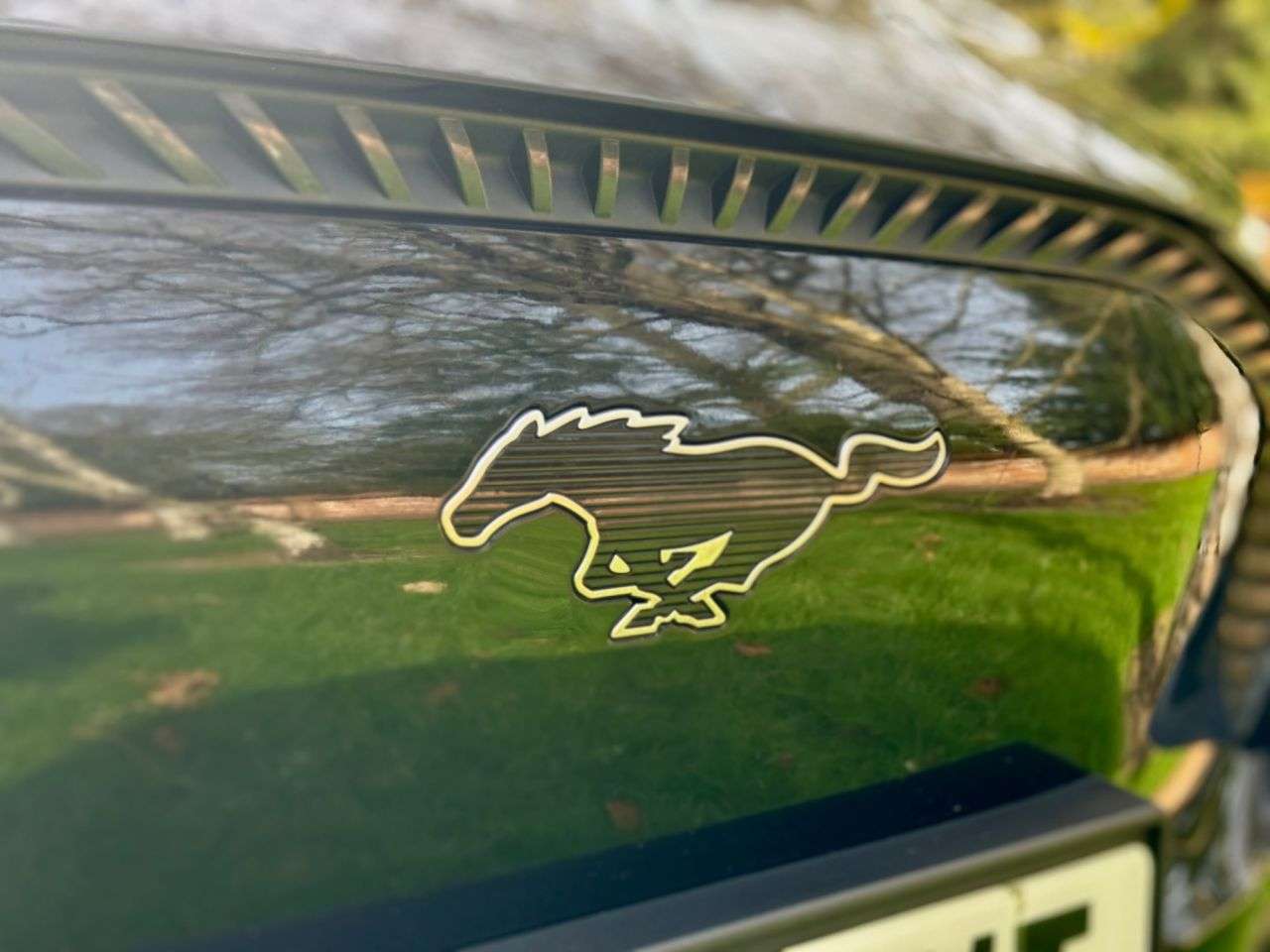 2022 FORD MUSTANG MACH-E 2022 FORD MUSTANG MACH-E