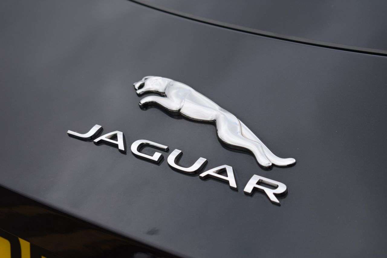 2019 JAGUAR F-TYPE 2019 JAGUAR F-TYPE