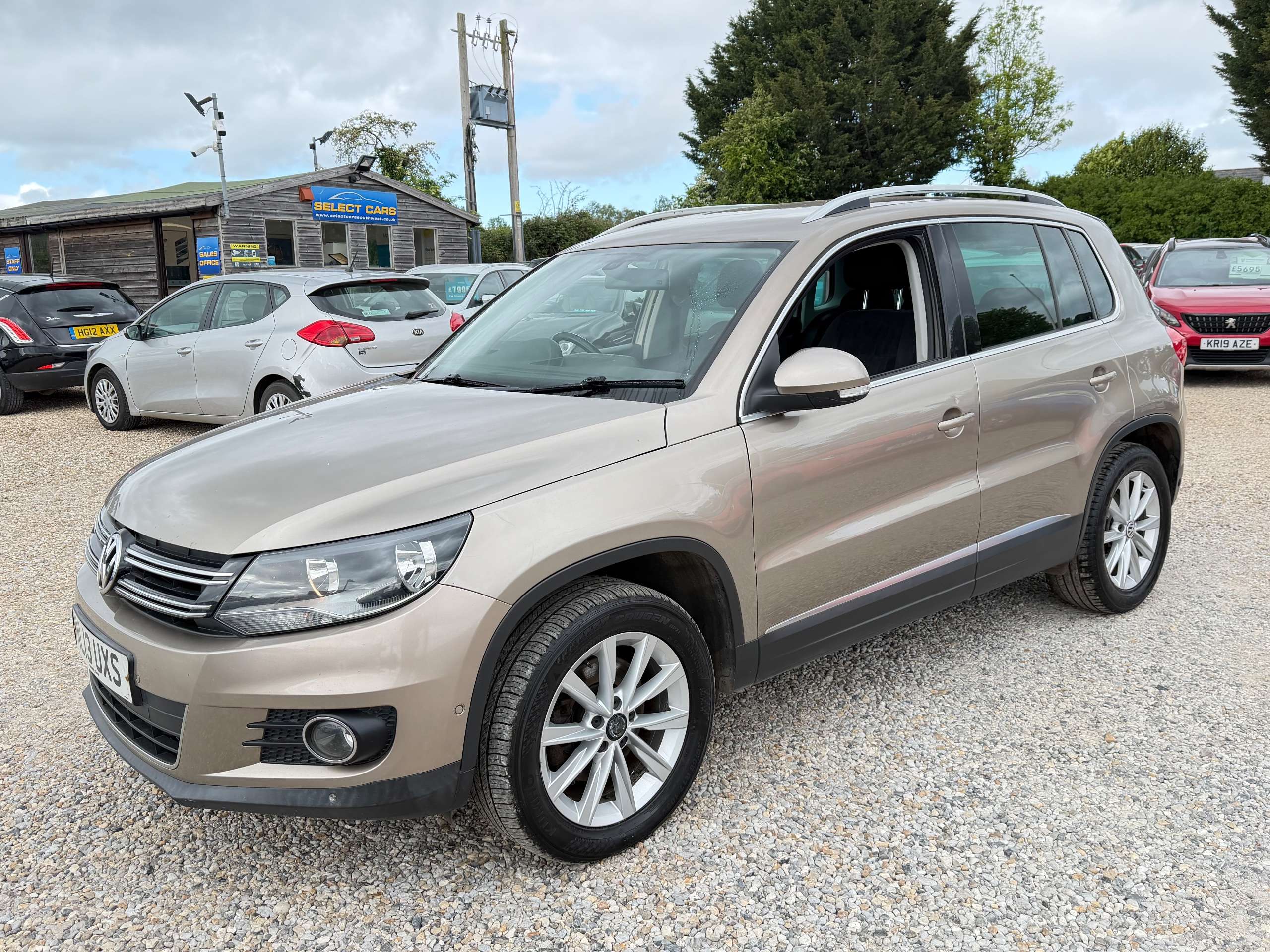 2013 VOLKSWAGEN TIGUAN 2013 VOLKSWAGEN TIGUAN