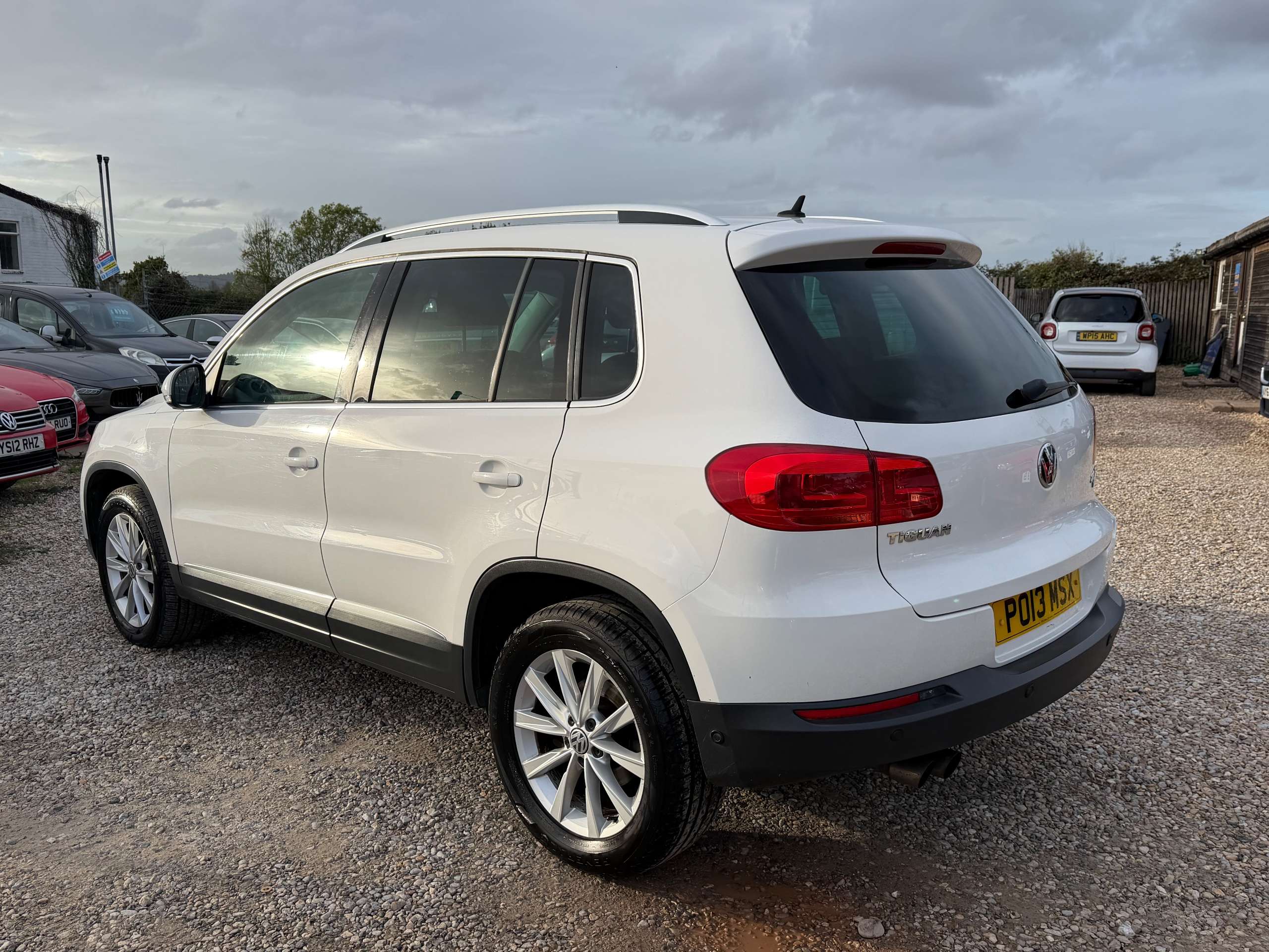 2013 VOLKSWAGEN TIGUAN 2013 VOLKSWAGEN TIGUAN