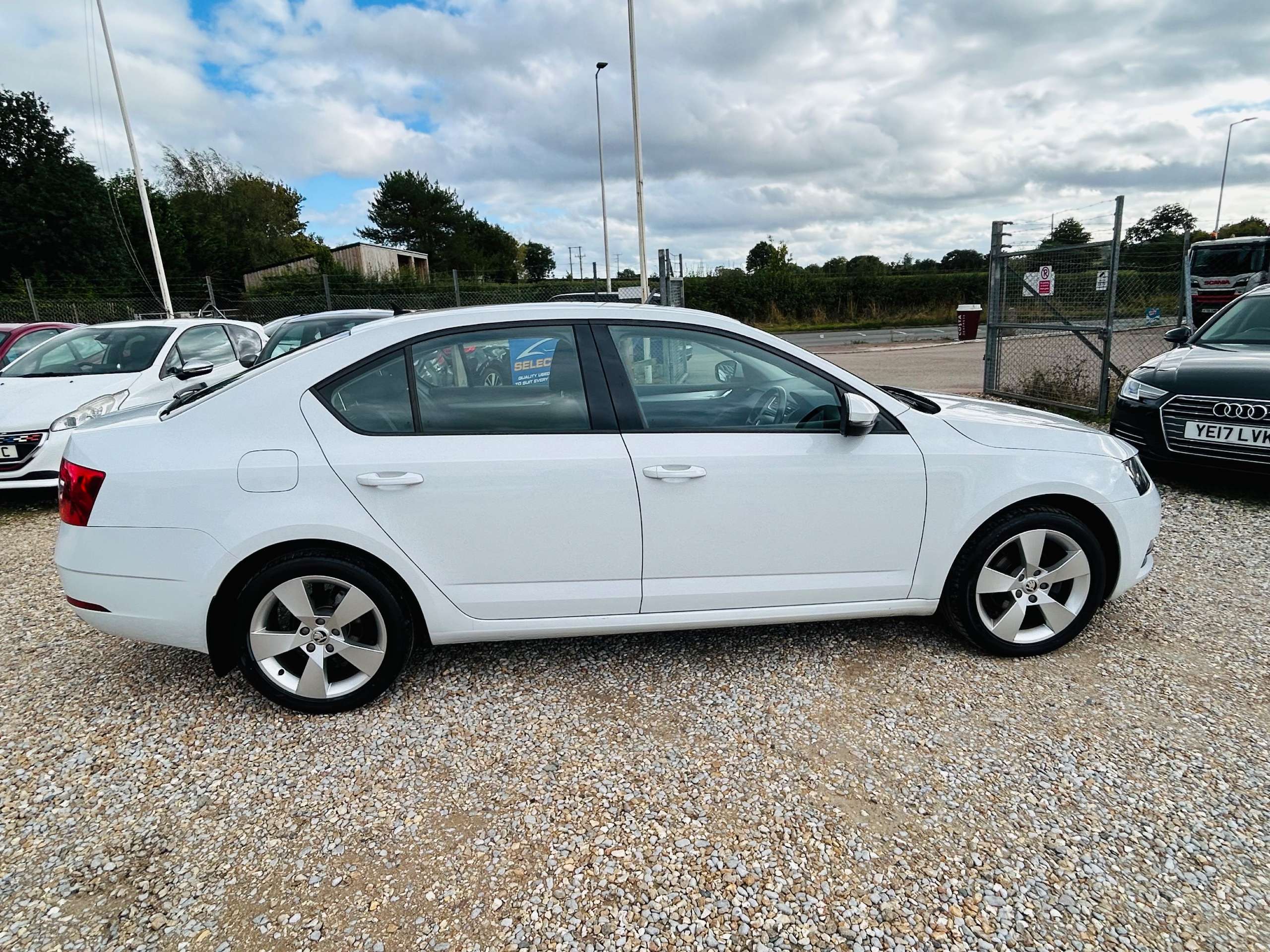 2019 SKODA OCTAVIA 2019 SKODA OCTAVIA