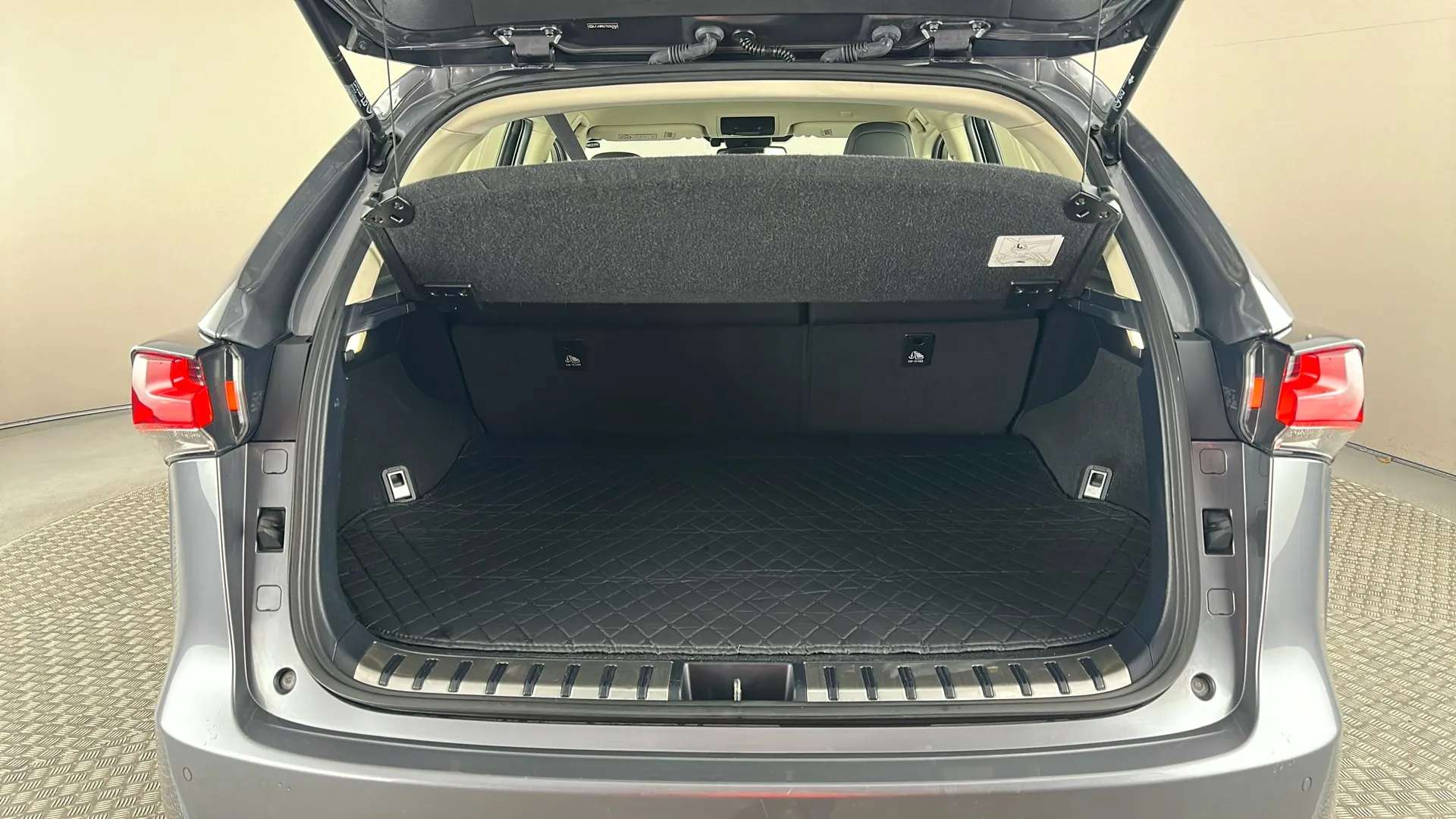 2021 LEXUS NX 2021 LEXUS NX