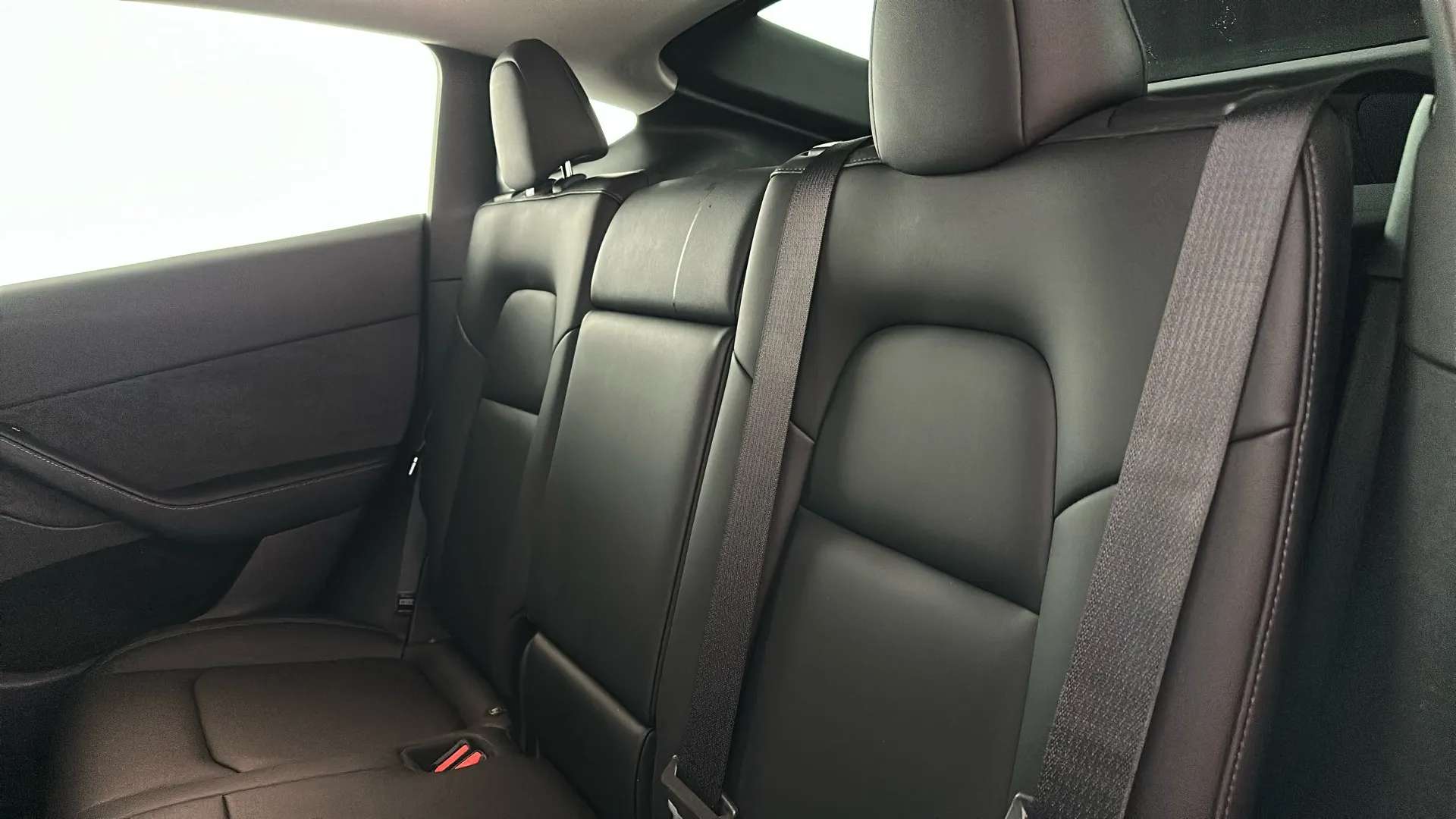 2022 TESLA MODEL Y 2022 TESLA MODEL Y
