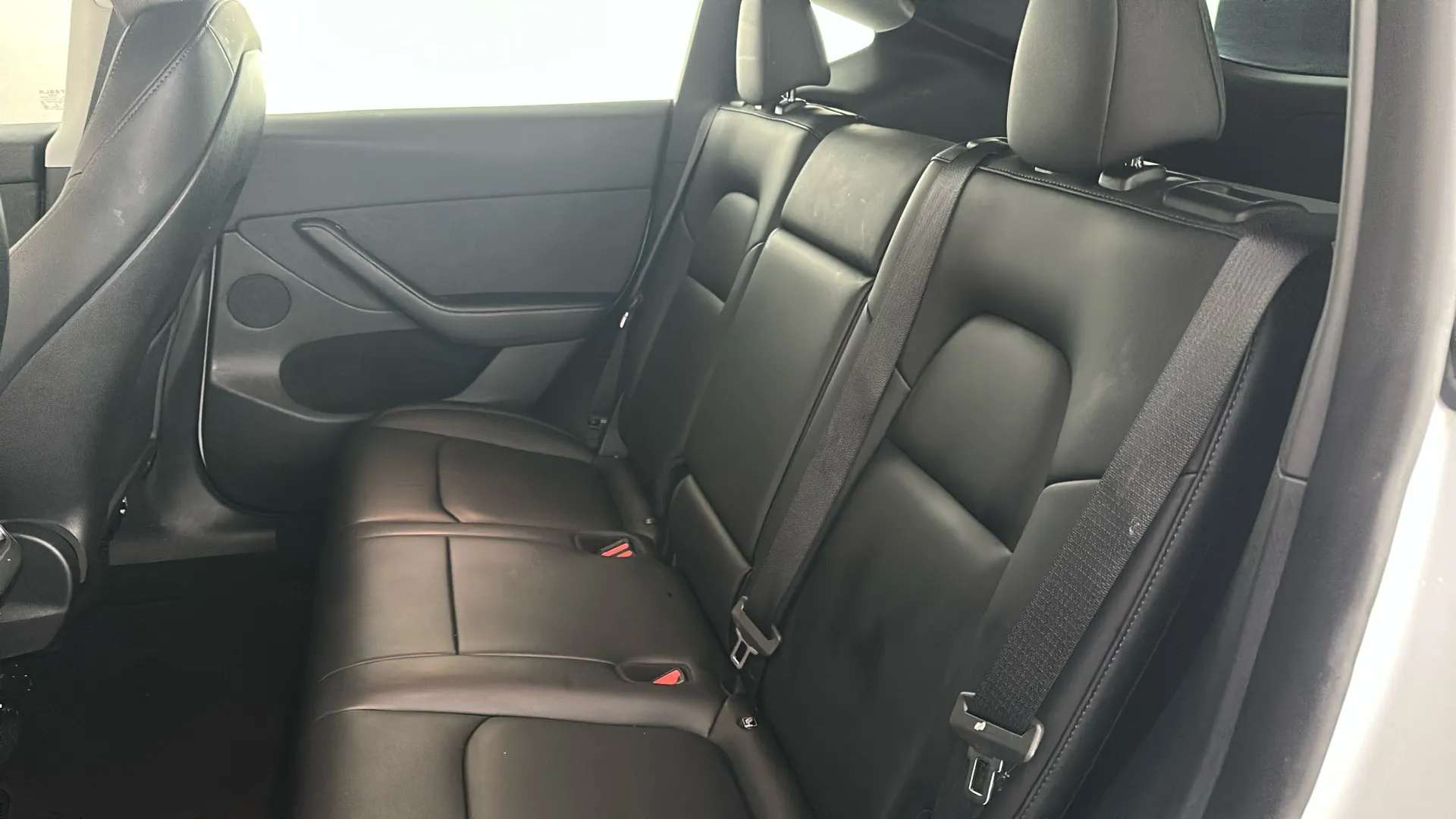 2024 TESLA MODEL Y 2024 TESLA MODEL Y