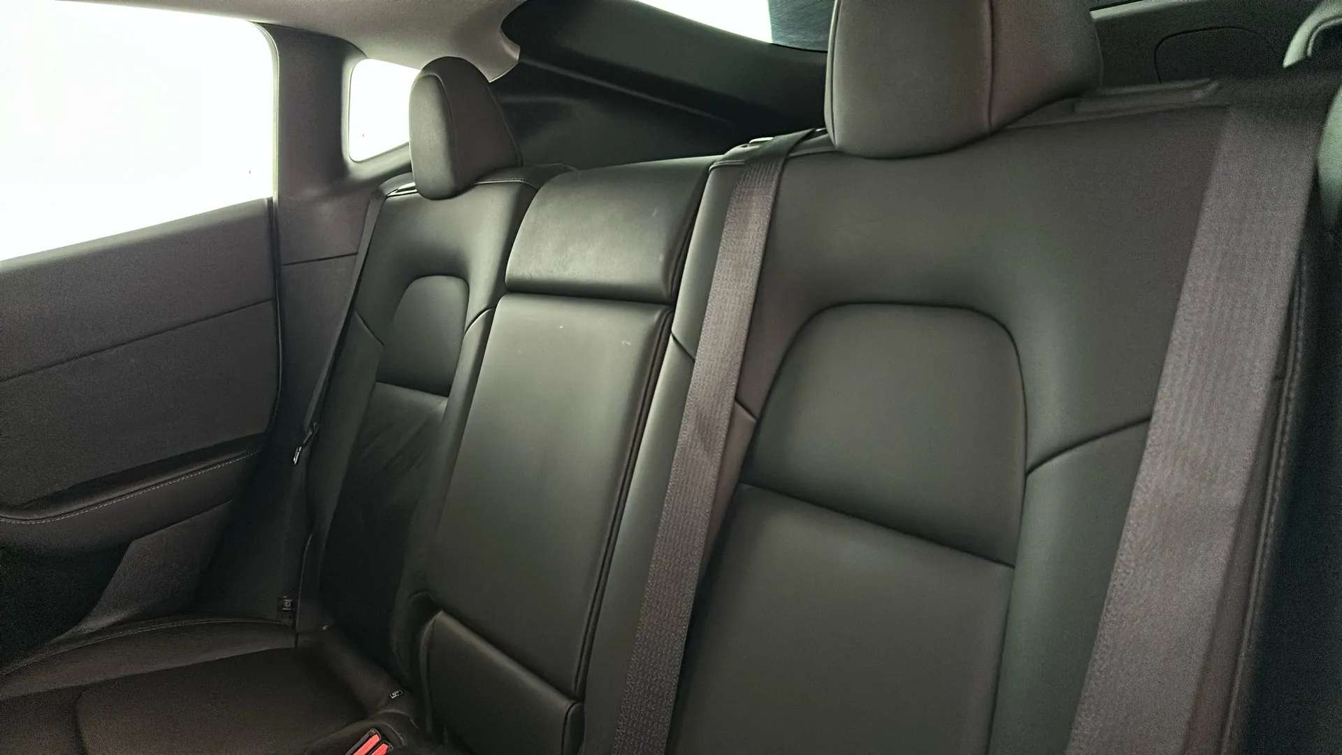 2023 TESLA MODEL Y 2023 TESLA MODEL Y