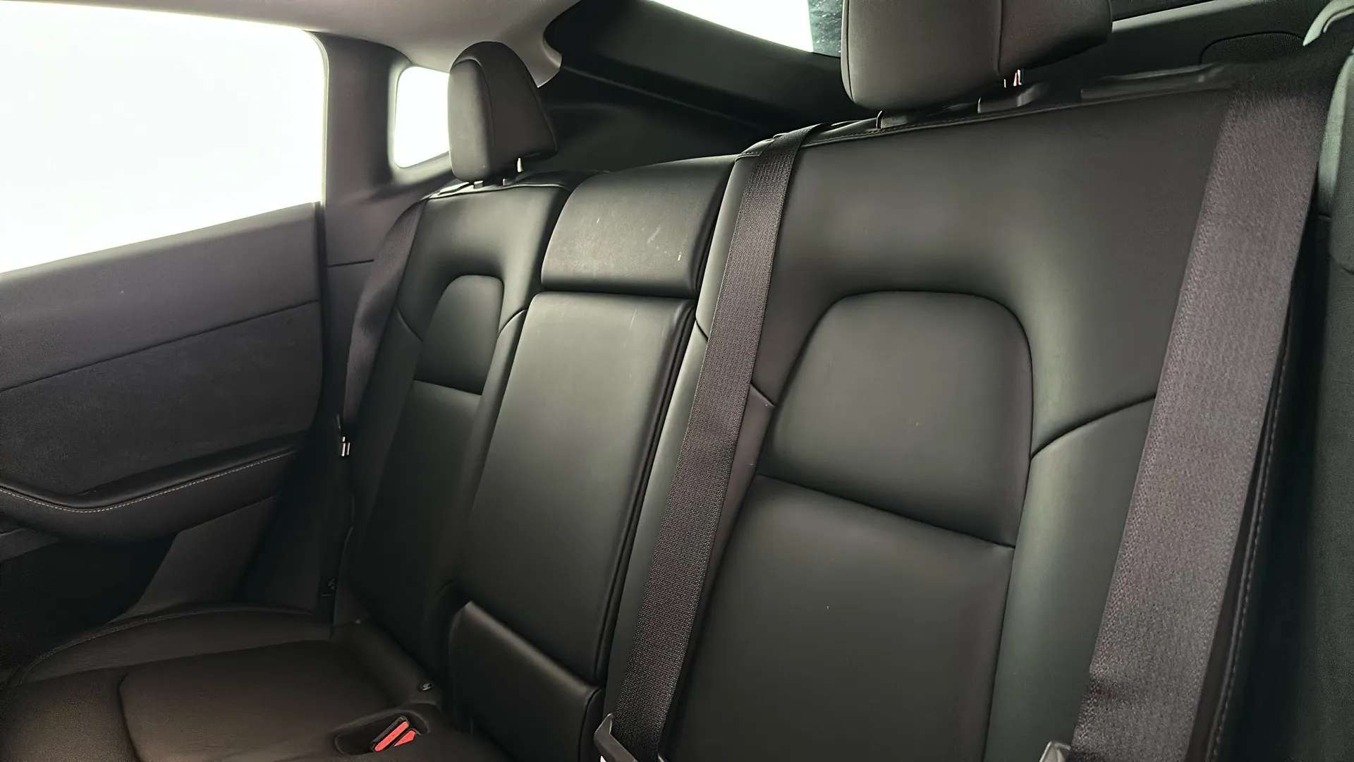 2023 TESLA MODEL Y 2023 TESLA MODEL Y