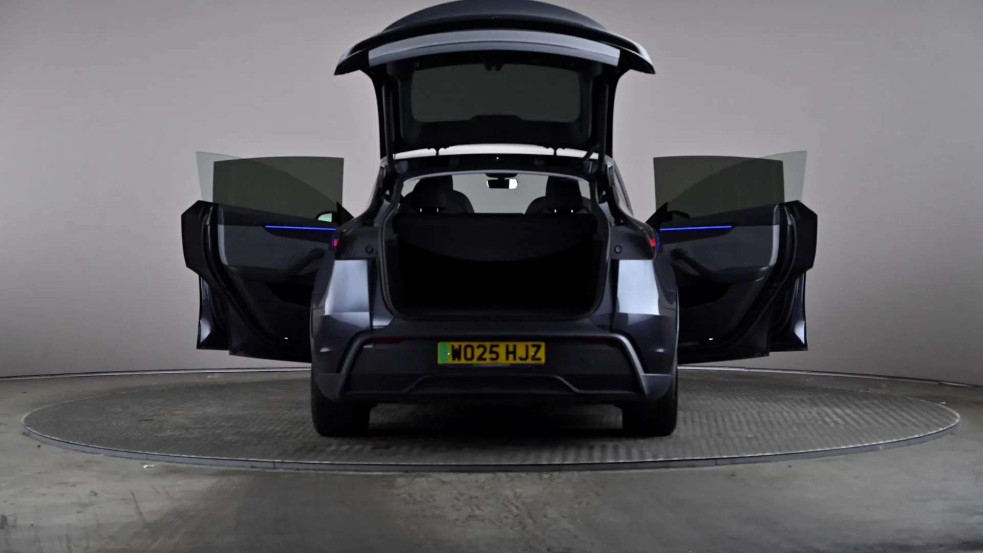2025 TESLA MODEL Y 2025 TESLA MODEL Y