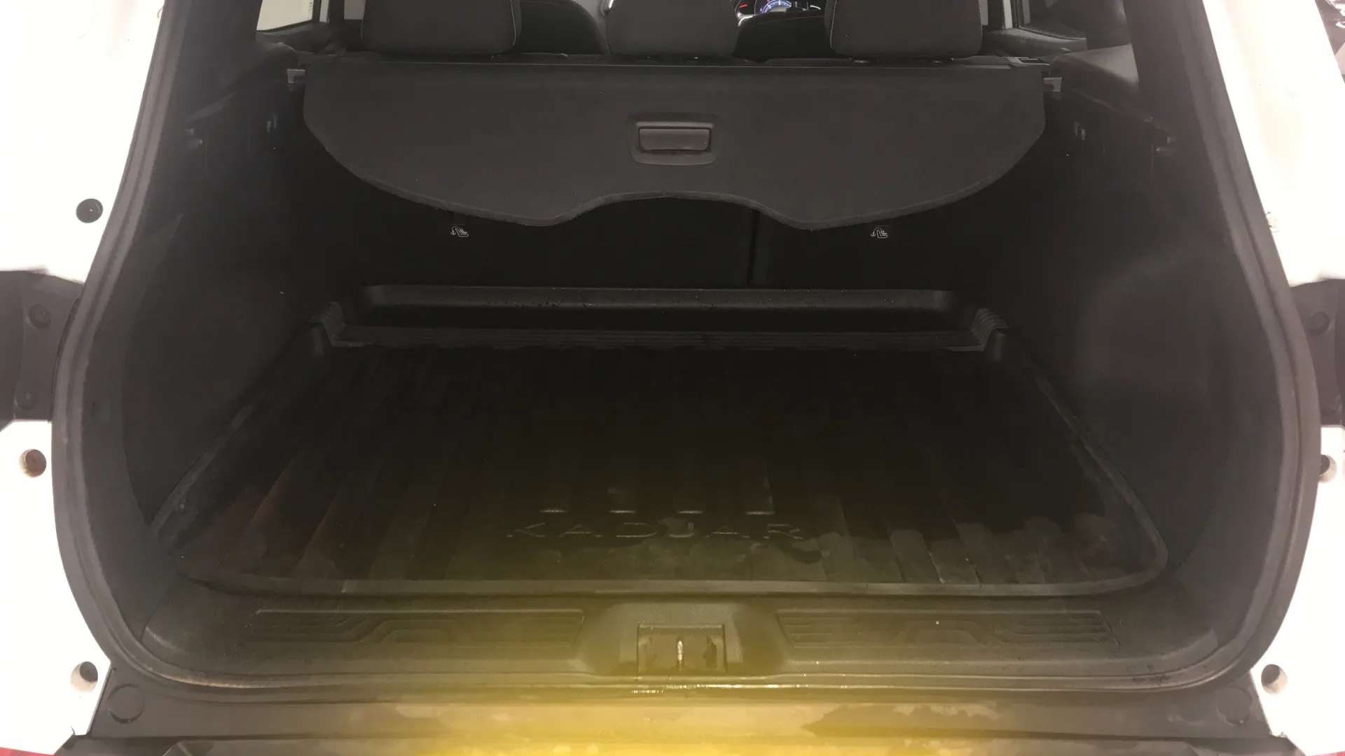 2018 RENAULT KADJAR 2018 RENAULT KADJAR