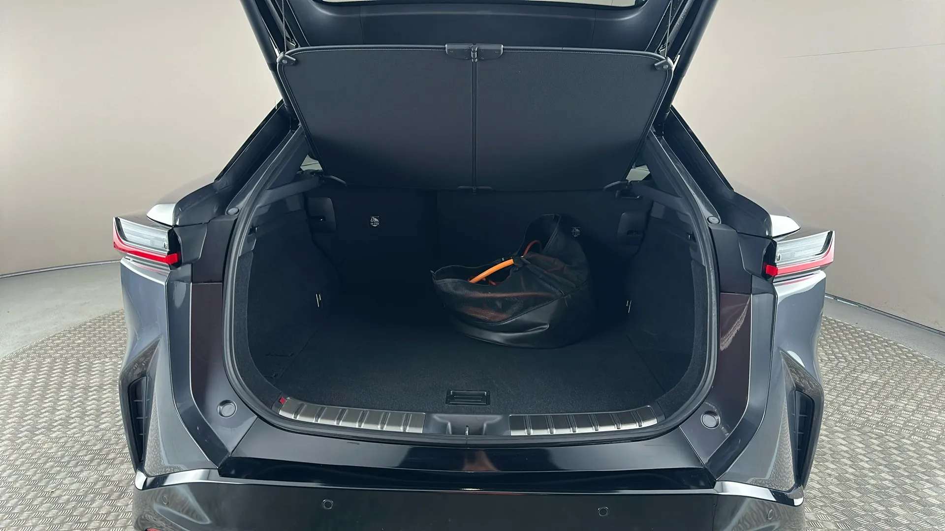 2024 LEXUS RZ 2024 LEXUS RZ