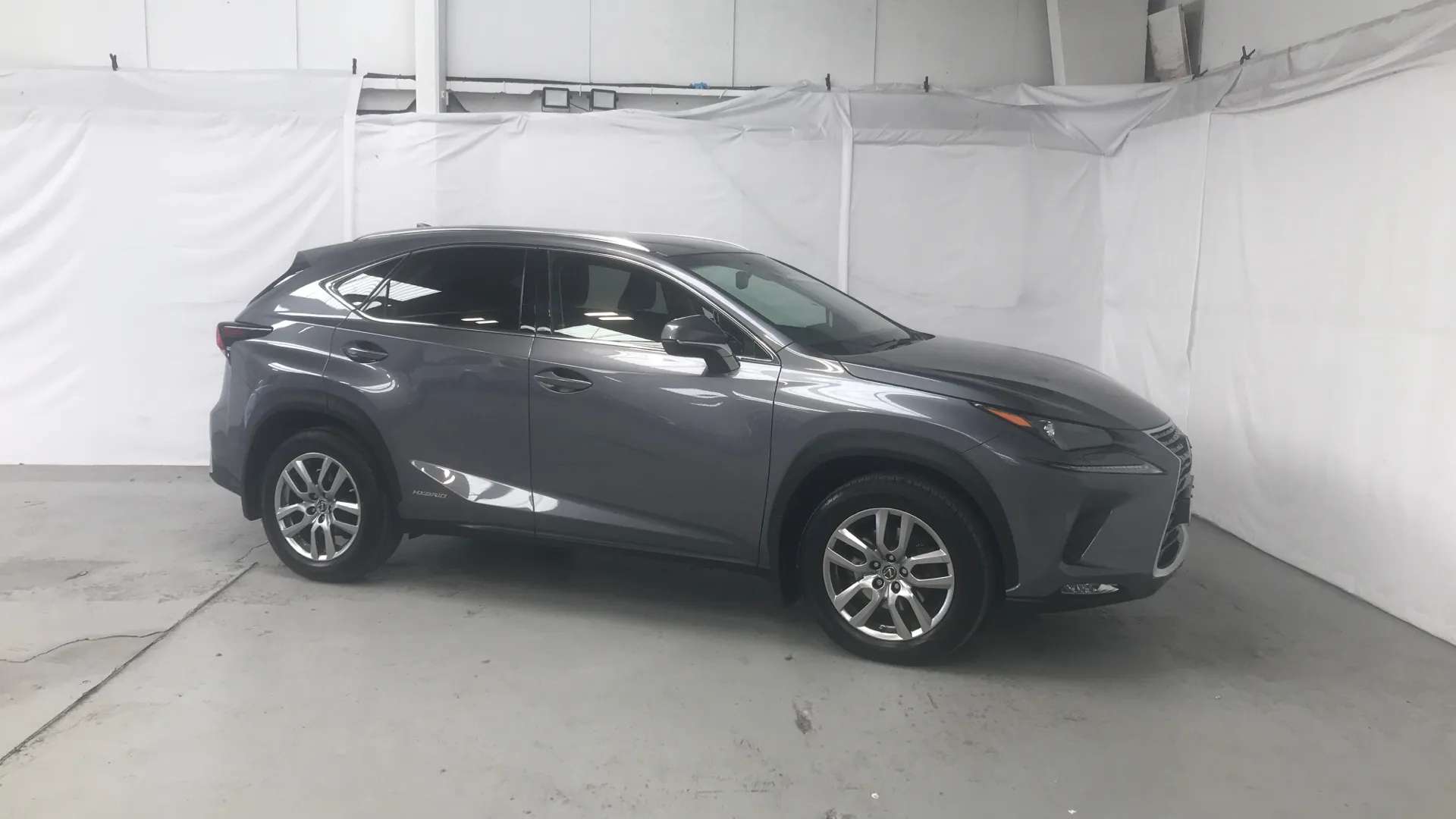 2019 LEXUS NX 2019 LEXUS NX