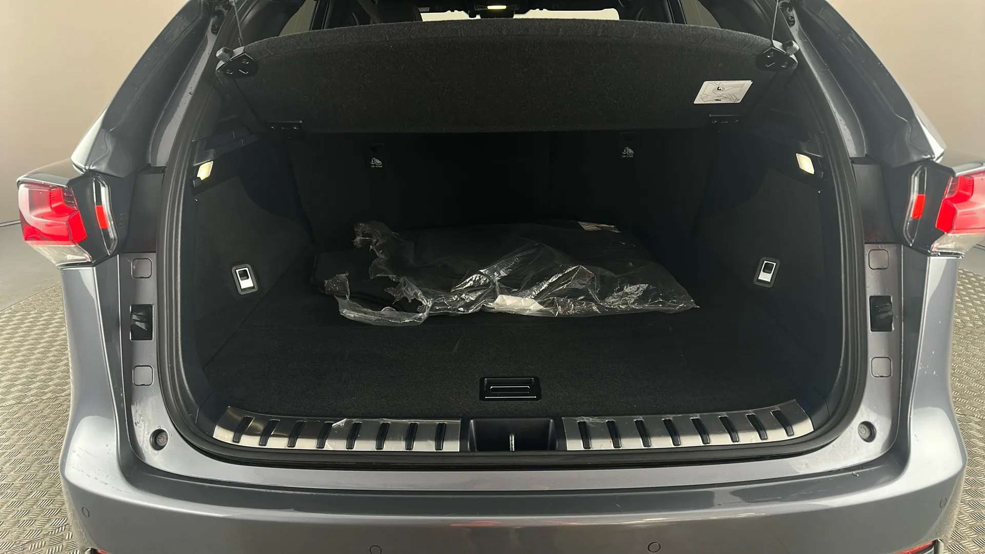 2021 LEXUS NX 2021 LEXUS NX