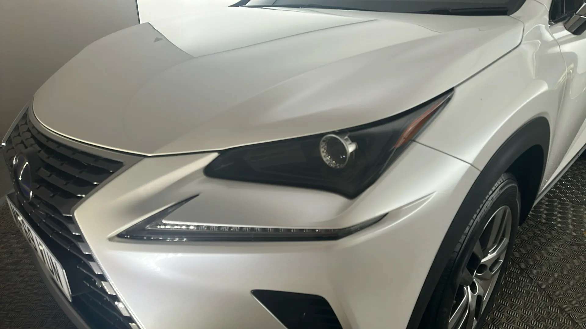 2019 LEXUS NX 2019 LEXUS NX