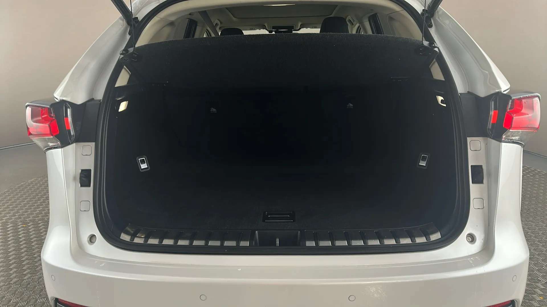 2019 LEXUS NX 2019 LEXUS NX